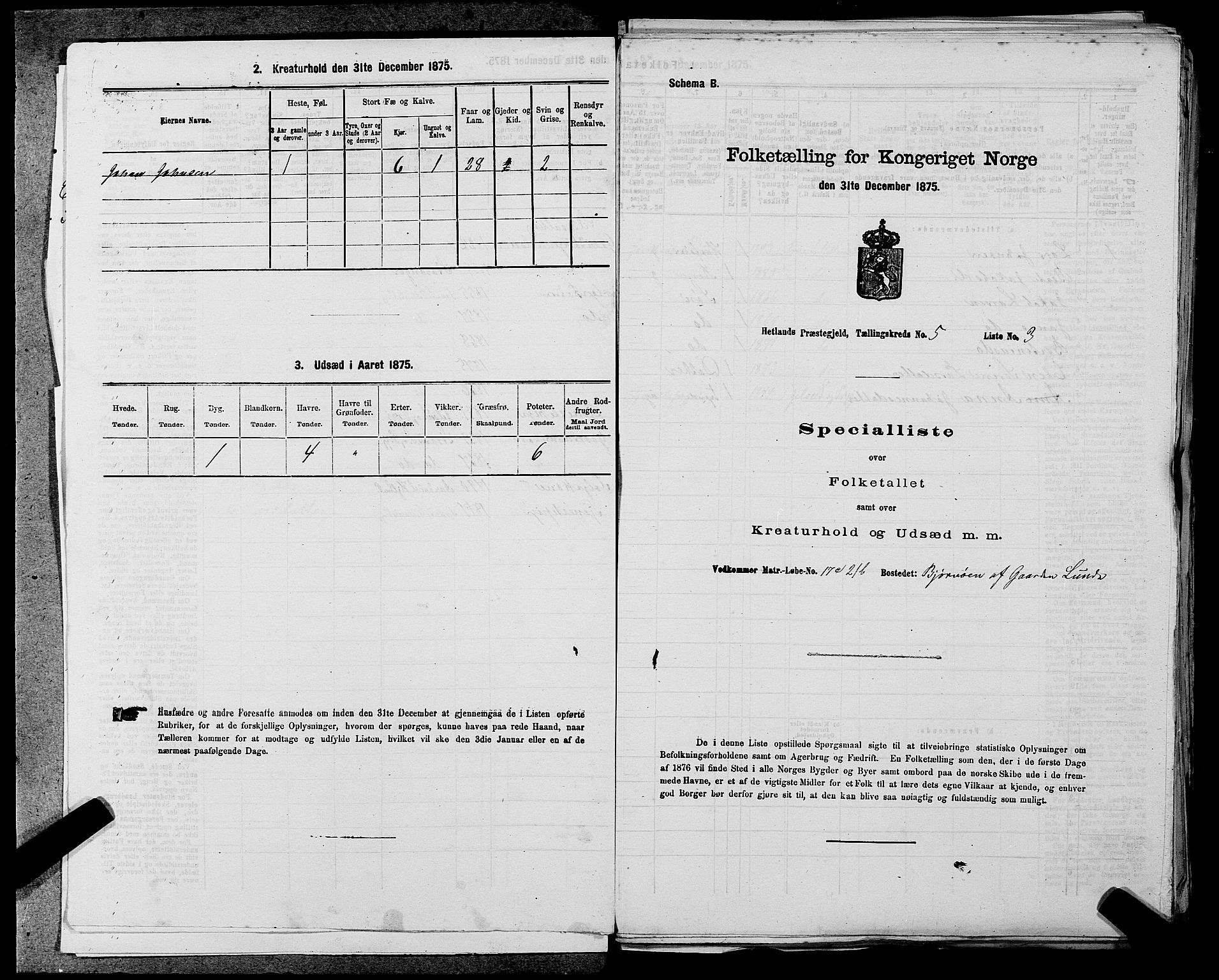 SAST, Folketelling 1875 for 1126P Hetland prestegjeld, 1875, s. 1056