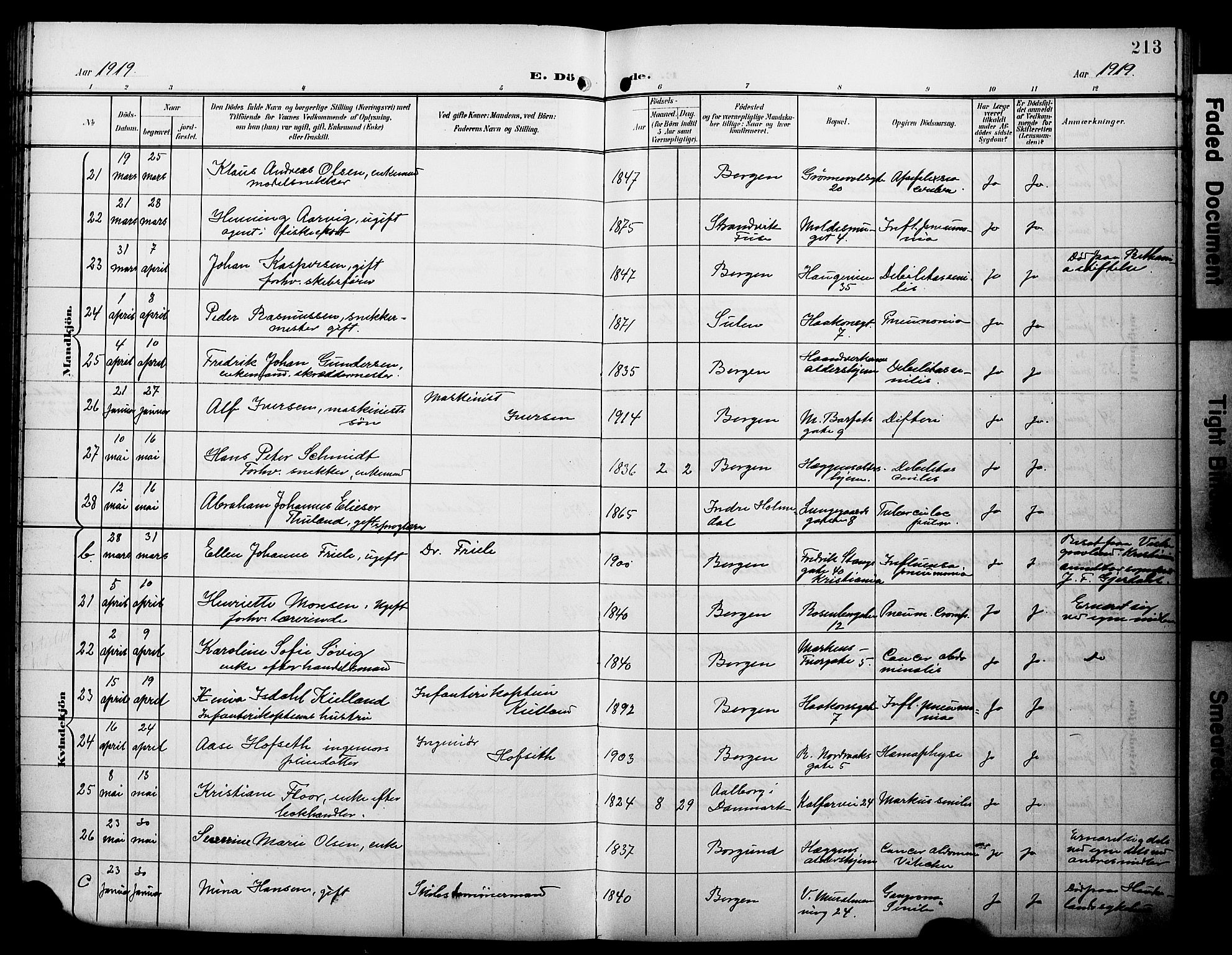 Domkirken sokneprestembete, AV/SAB-A-74801/H/Hab/L0042: Klokkerbok nr. E 6, 1900-1929, s. 213