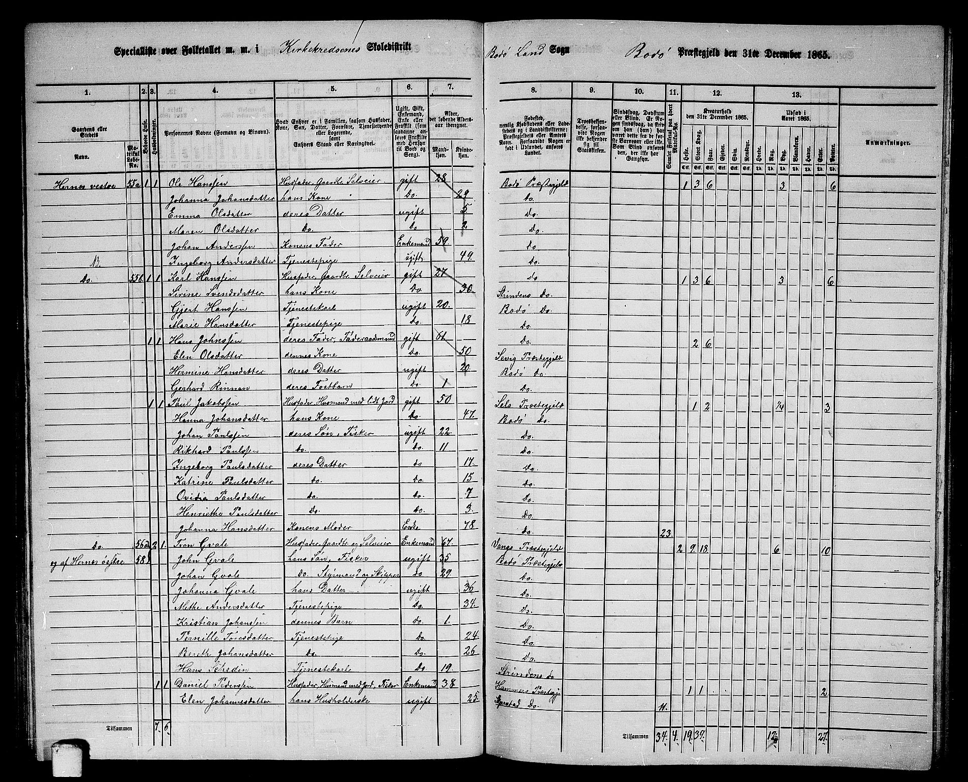 RA, Folketelling 1865 for 1843L Bodø prestegjeld, Bodø landsokn, 1865, s. 37