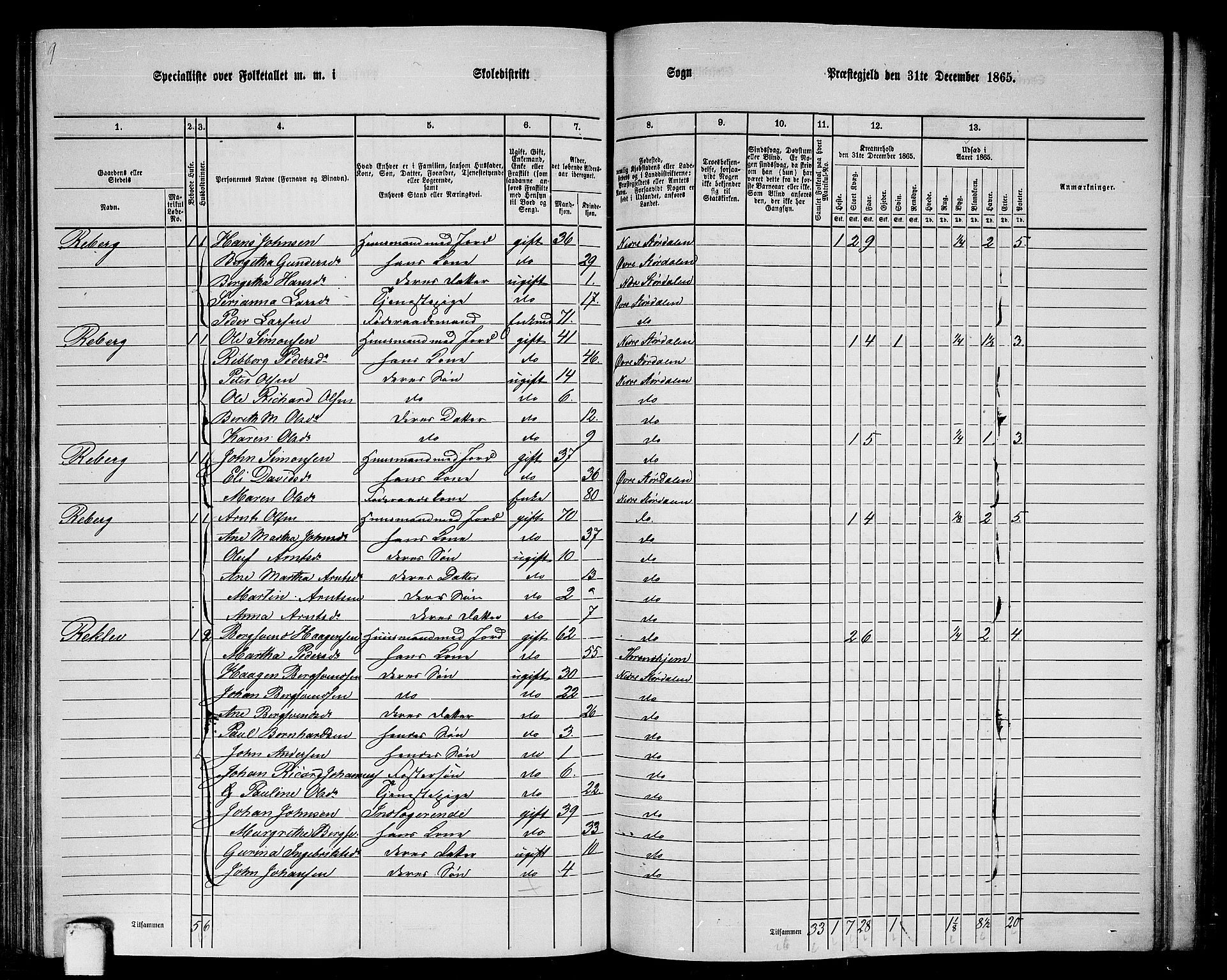 RA, Folketelling 1865 for 1714P Nedre Stjørdal prestegjeld, 1865, s. 197