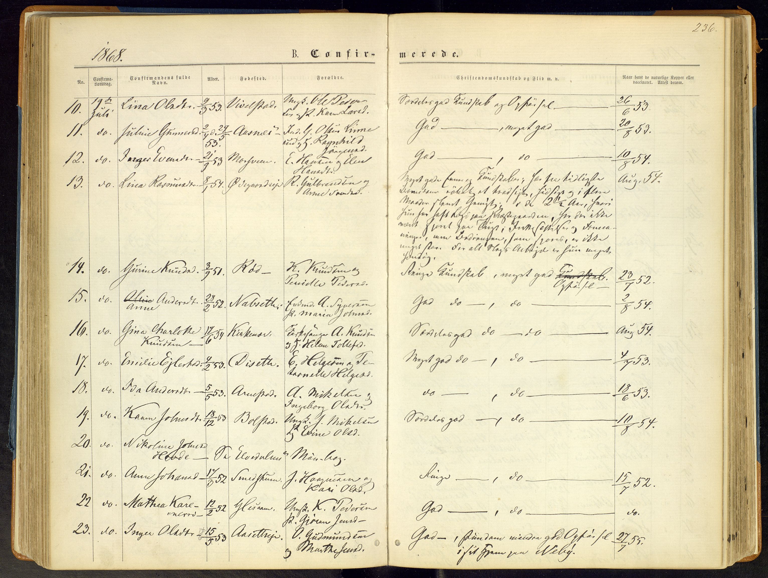 Åmot prestekontor, Hedmark, AV/SAH-PREST-056/H/Ha/Haa/L0008: Ministerialbok nr. 8, 1862-1875, s. 236