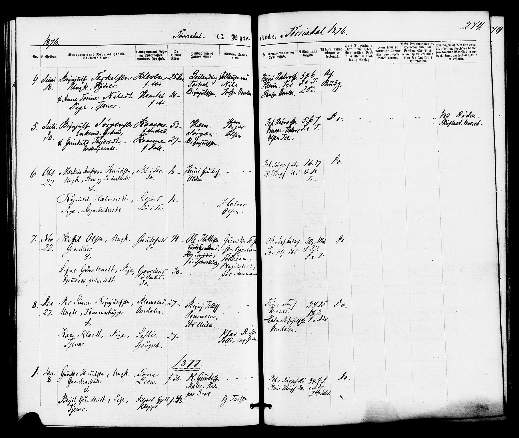 Drangedal kirkebøker, AV/SAKO-A-258/F/Fa/L0009: Ministerialbok nr. 9 /2, 1872-1884, s. 274
