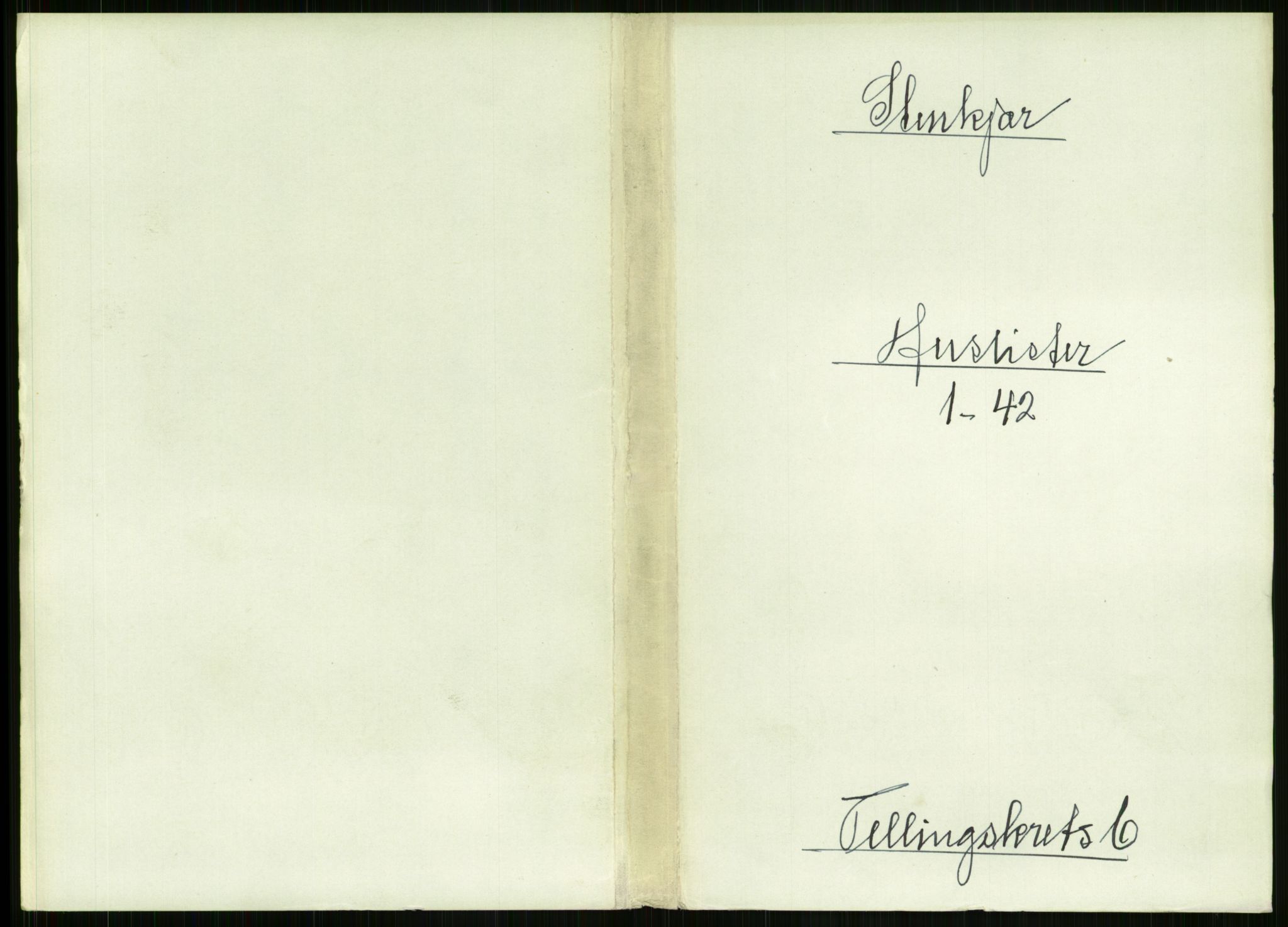 RA, Folketelling 1891 for 1702 Steinkjer ladested, 1891, s. 2099