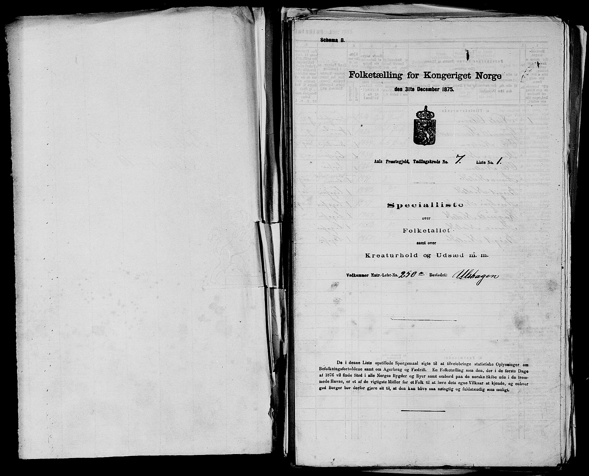 SAKO, Folketelling 1875 for 0619P Ål prestegjeld, 1875, s. 836