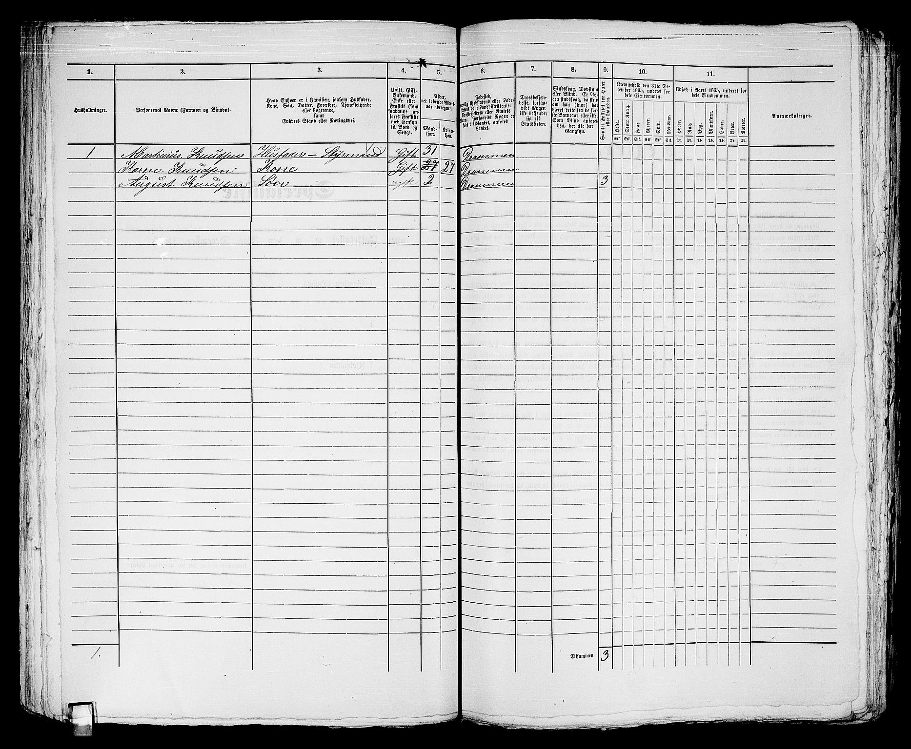 RA, Folketelling 1865 for 0602bP Strømsø prestegjeld i Drammen kjøpstad, 1865, s. 750