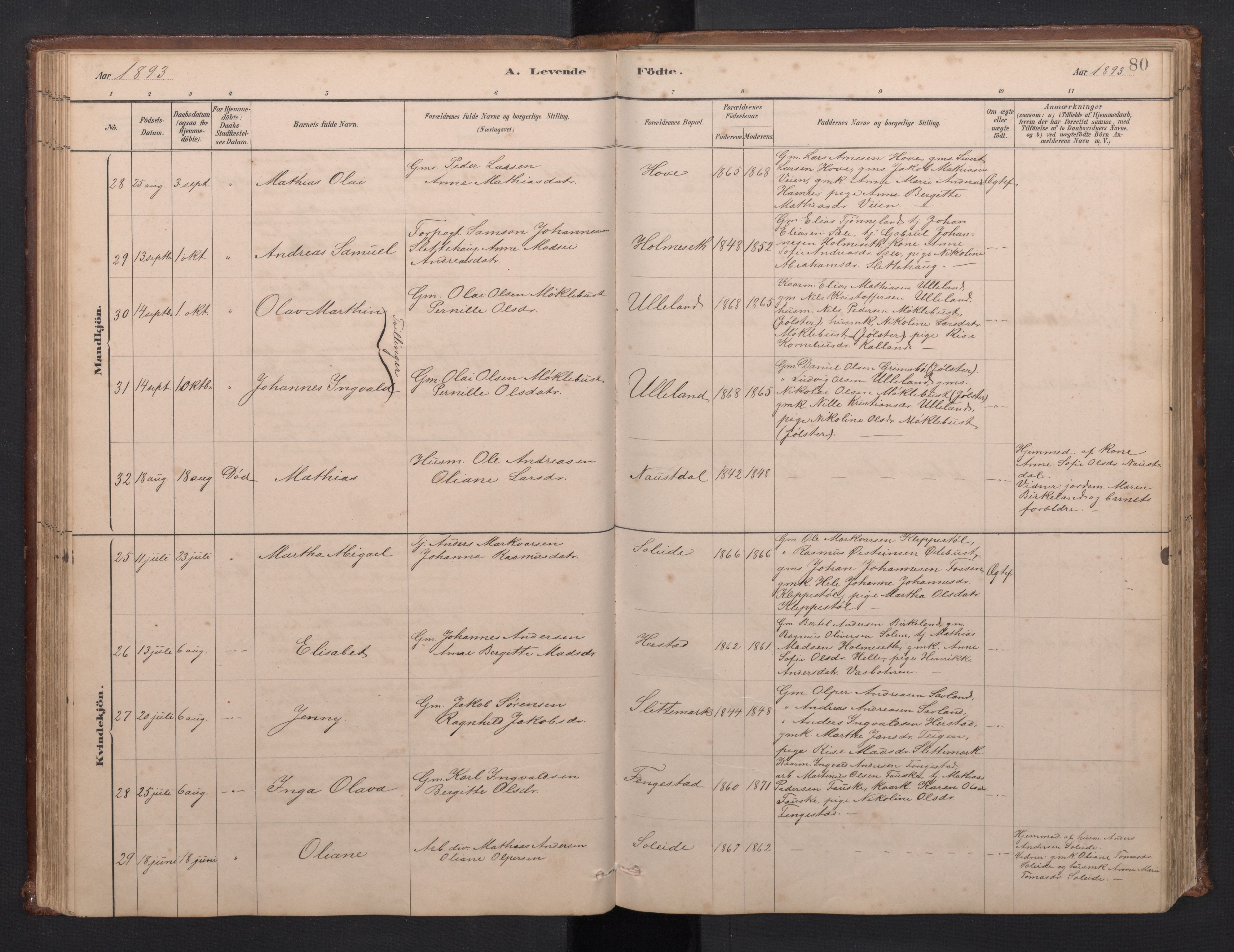 Førde sokneprestembete, AV/SAB-A-79901/H/Hab/Habd/L0003: Klokkerbok nr. D 3, 1881-1897, s. 79b-80a