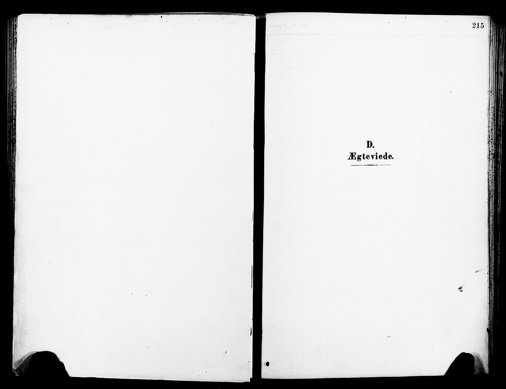 Ministerialprotokoller, klokkerbøker og fødselsregistre - Sør-Trøndelag, SAT/A-1456/681/L0942: Klokkerbok nr. 681C06, 1906-1925, s. 215