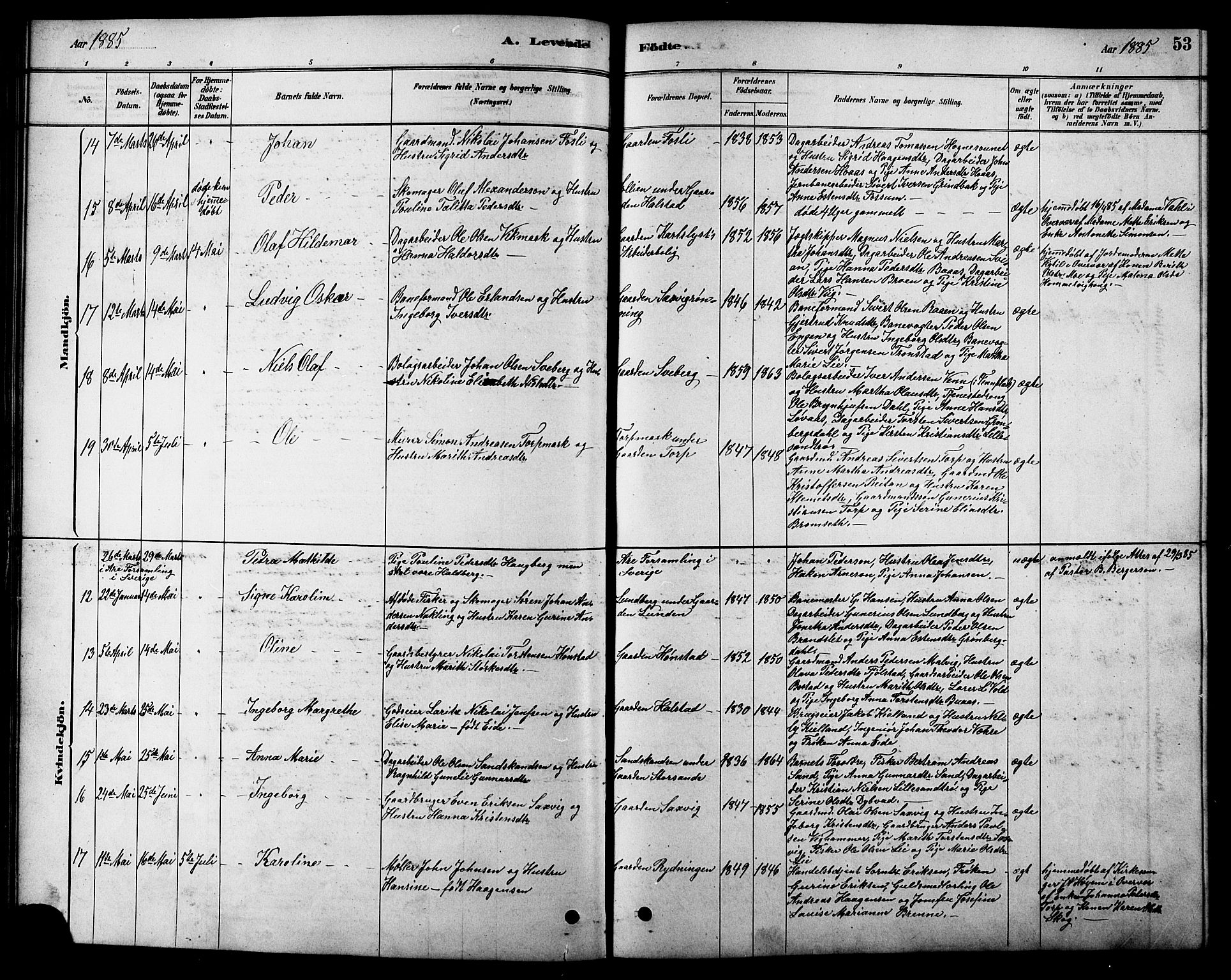 Ministerialprotokoller, klokkerbøker og fødselsregistre - Sør-Trøndelag, SAT/A-1456/616/L0423: Klokkerbok nr. 616C06, 1878-1903, s. 53