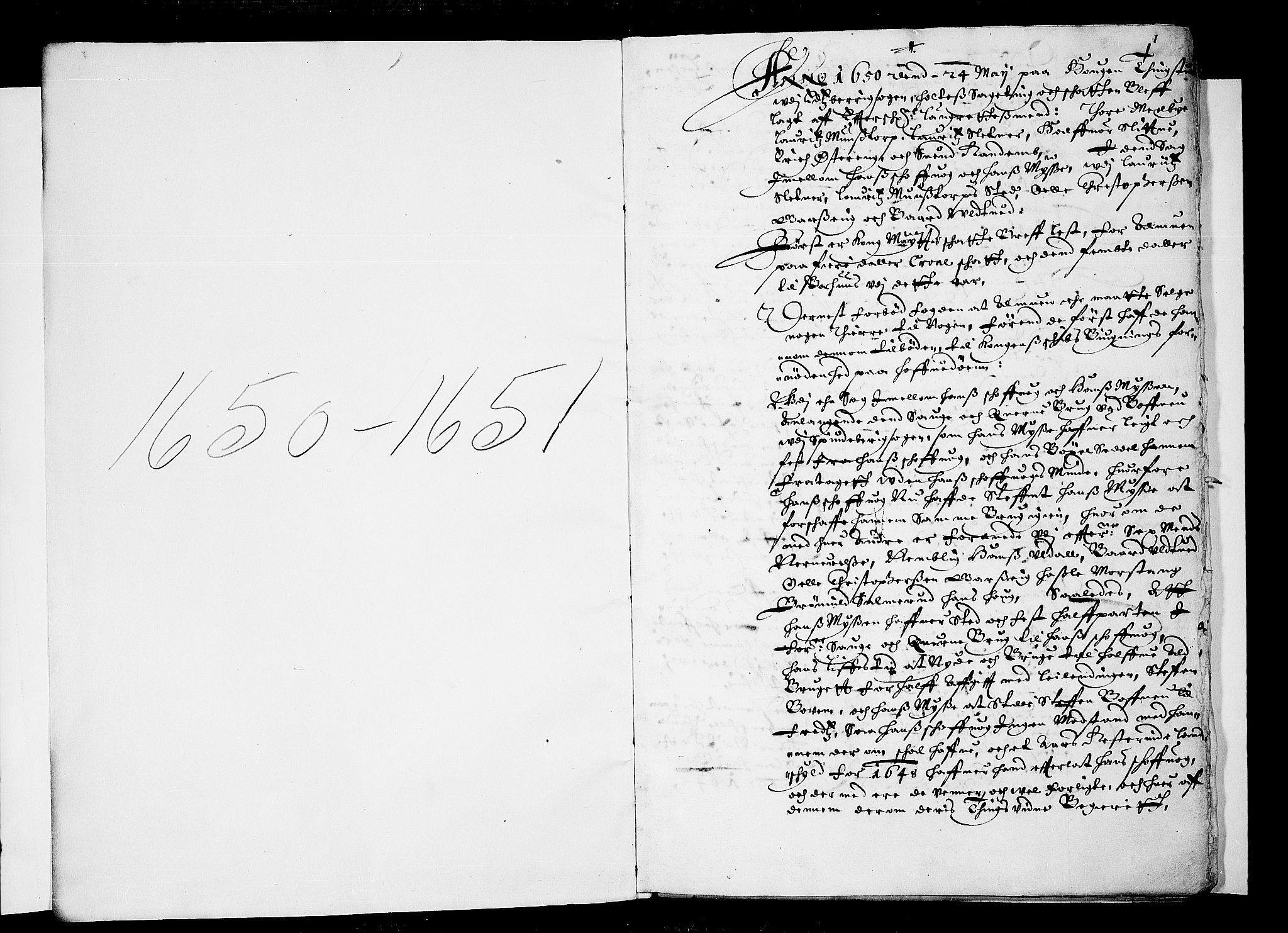 Heggen og Frøland sorenskriveri I, AV/SAO-A-11556/F/Fb/L0001: Tingbok, 1650-1651, s. 0b-1a