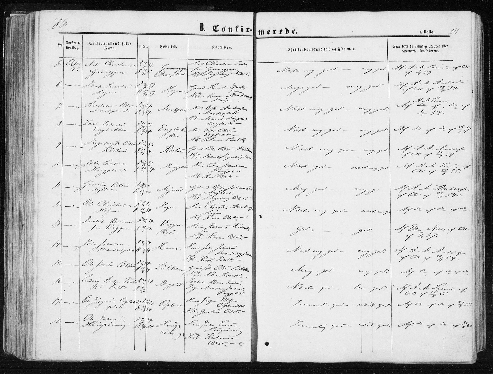 Ministerialprotokoller, klokkerbøker og fødselsregistre - Sør-Trøndelag, SAT/A-1456/612/L0377: Ministerialbok nr. 612A09, 1859-1877, s. 211