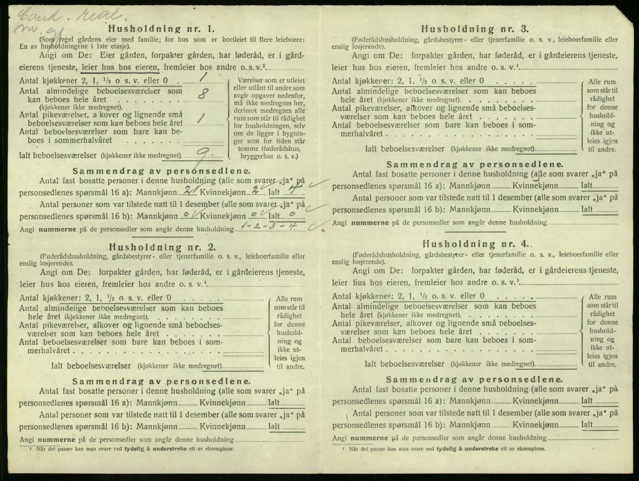 SAKO, Folketelling 1920 for 0711 Strømm herred, 1920, s. 135