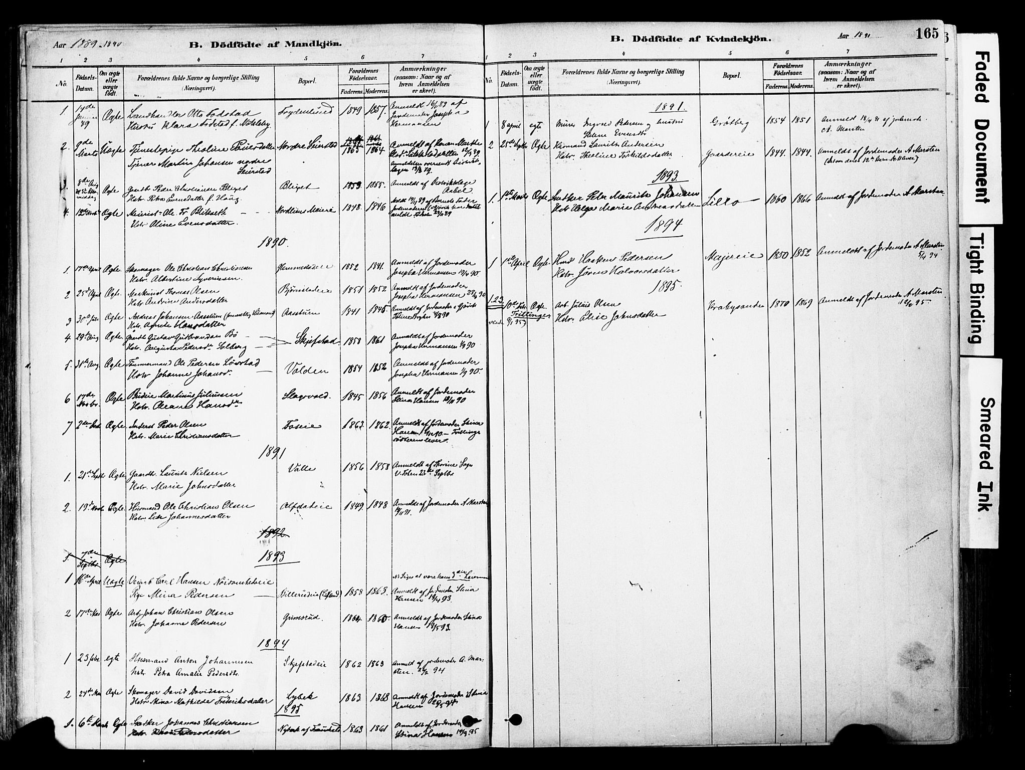 Østre Toten prestekontor, AV/SAH-PREST-104/H/Ha/Haa/L0006: Ministerialbok nr. 6 /1, 1878-1896, s. 165