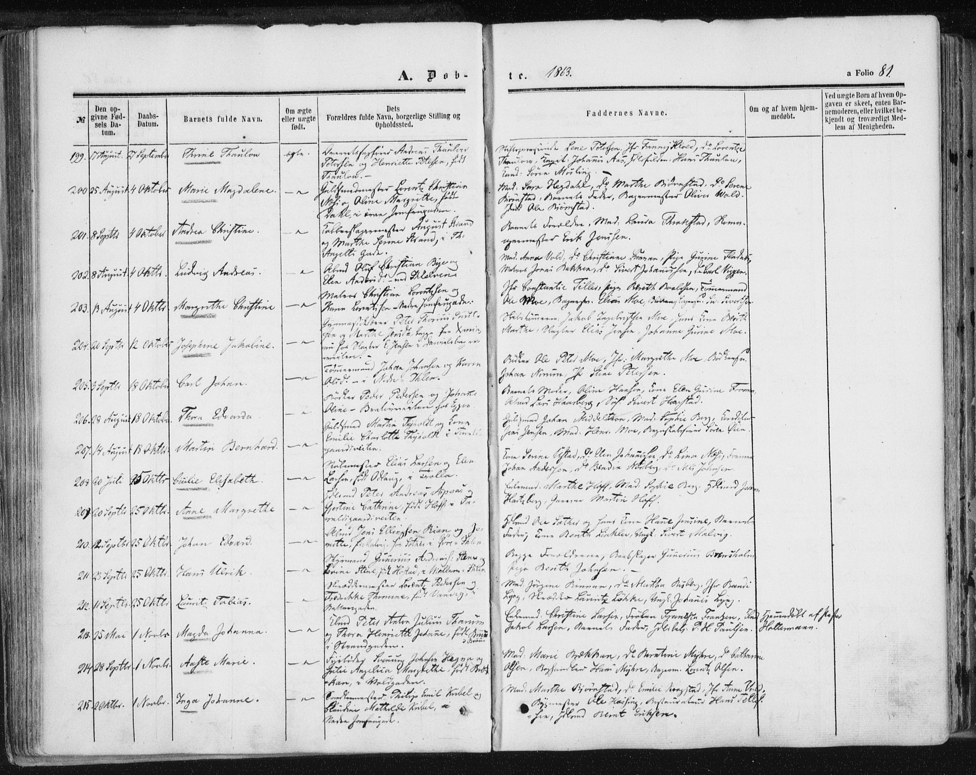 Ministerialprotokoller, klokkerbøker og fødselsregistre - Sør-Trøndelag, SAT/A-1456/602/L0115: Ministerialbok nr. 602A13, 1860-1872, s. 81