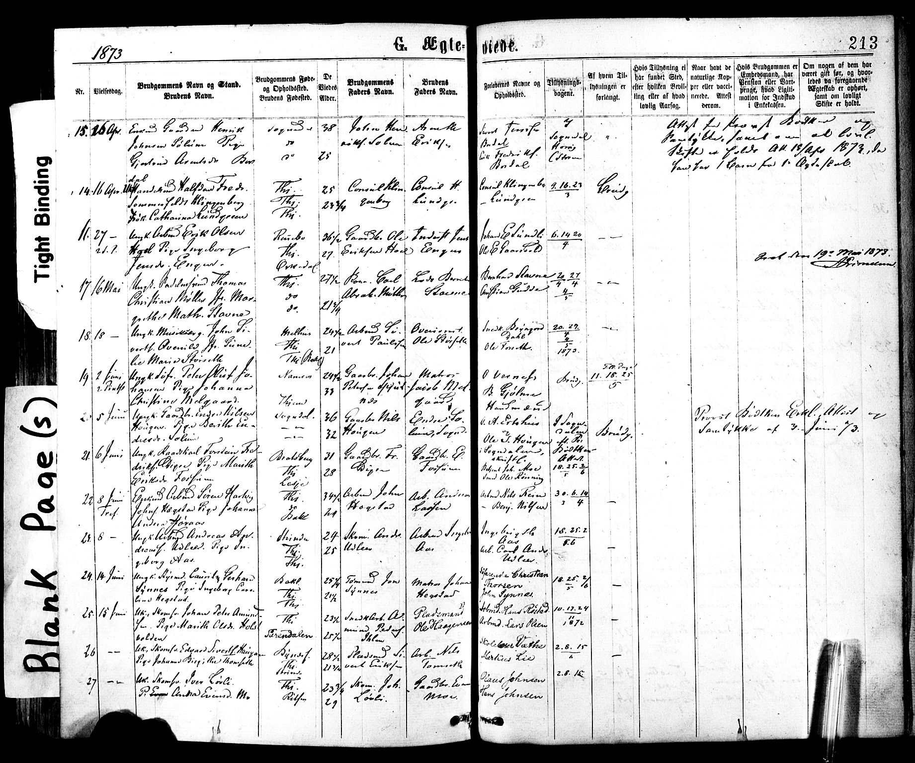 Ministerialprotokoller, klokkerbøker og fødselsregistre - Sør-Trøndelag, AV/SAT-A-1456/602/L0118: Ministerialbok nr. 602A16, 1873-1879, s. 213