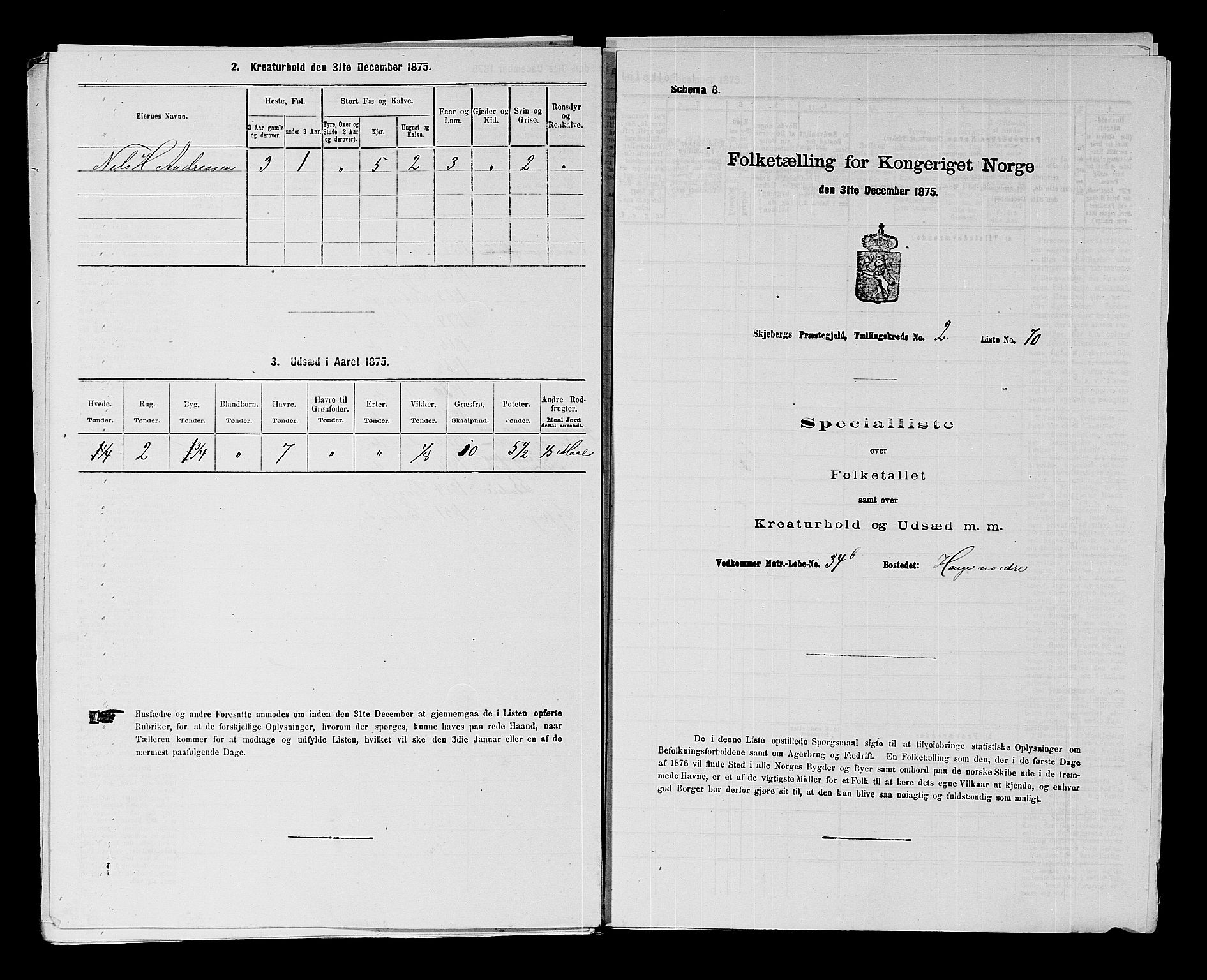 RA, Folketelling 1875 for 0115P Skjeberg prestegjeld, 1875, s. 367