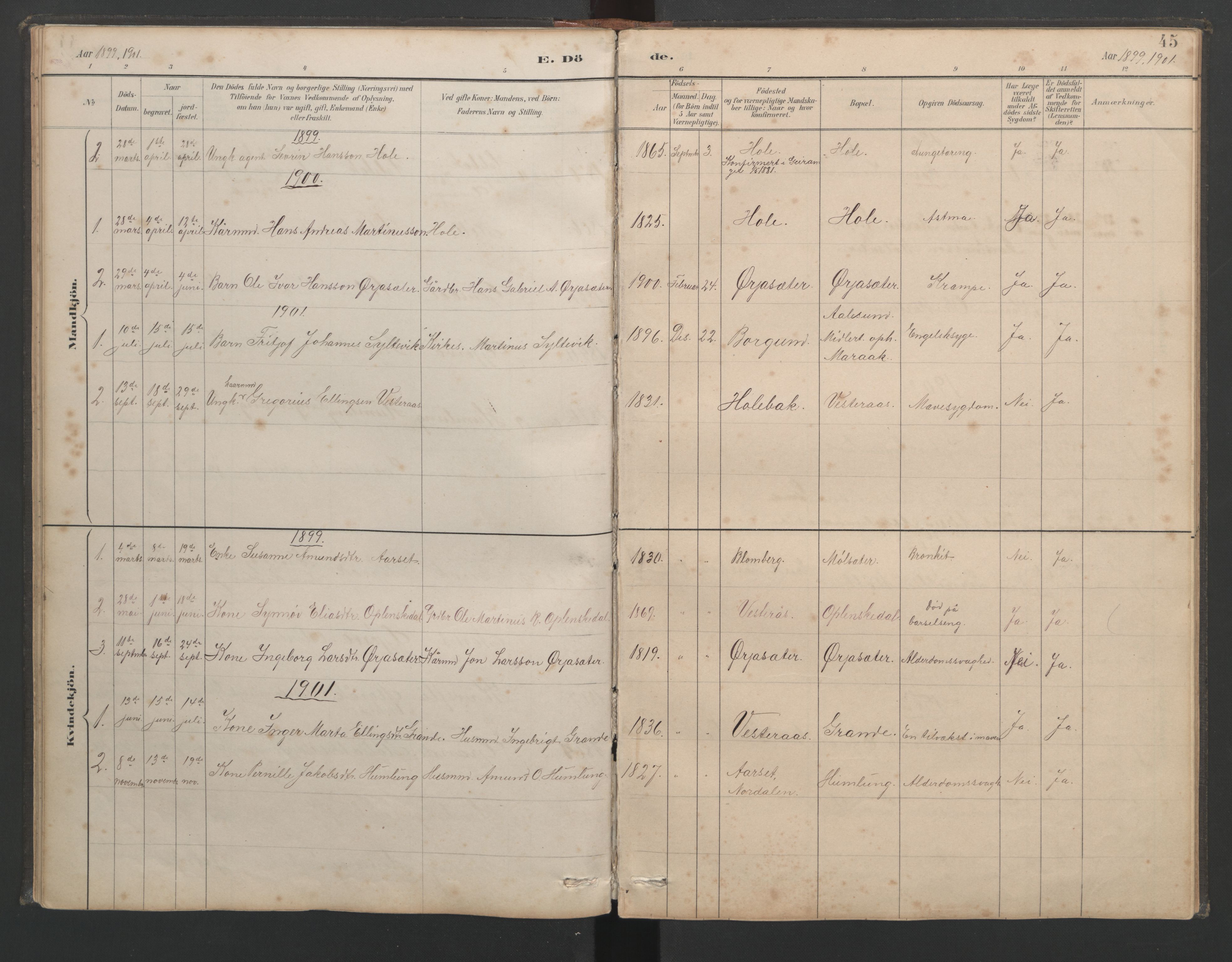 Ministerialprotokoller, klokkerbøker og fødselsregistre - Møre og Romsdal, AV/SAT-A-1454/518/L0237: Klokkerbok nr. 518C04, 1885-1963, s. 45