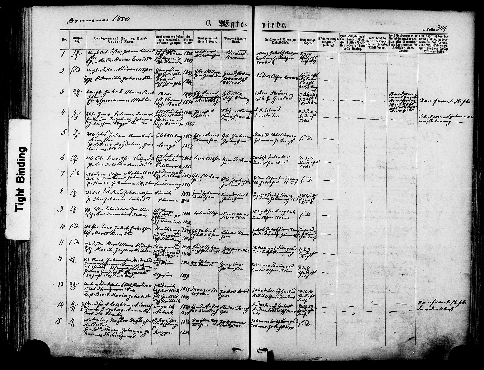 Ministerialprotokoller, klokkerbøker og fødselsregistre - Møre og Romsdal, SAT/A-1454/568/L0806: Ministerialbok nr. 568A12 /3, 1878-1884, s. 344