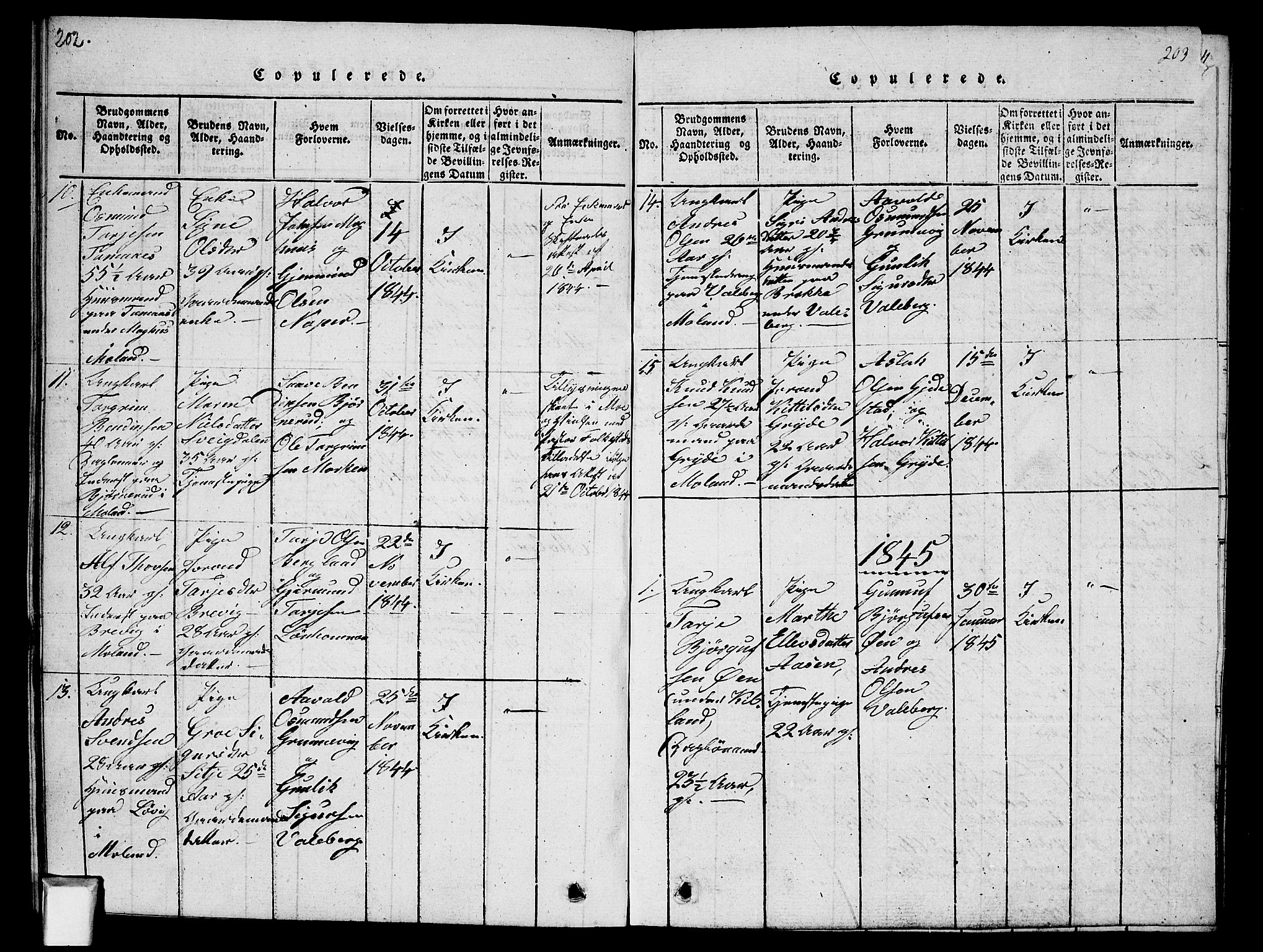Fyresdal kirkebøker, AV/SAKO-A-263/G/Ga/L0002: Klokkerbok nr. I 2, 1815-1857, s. 203