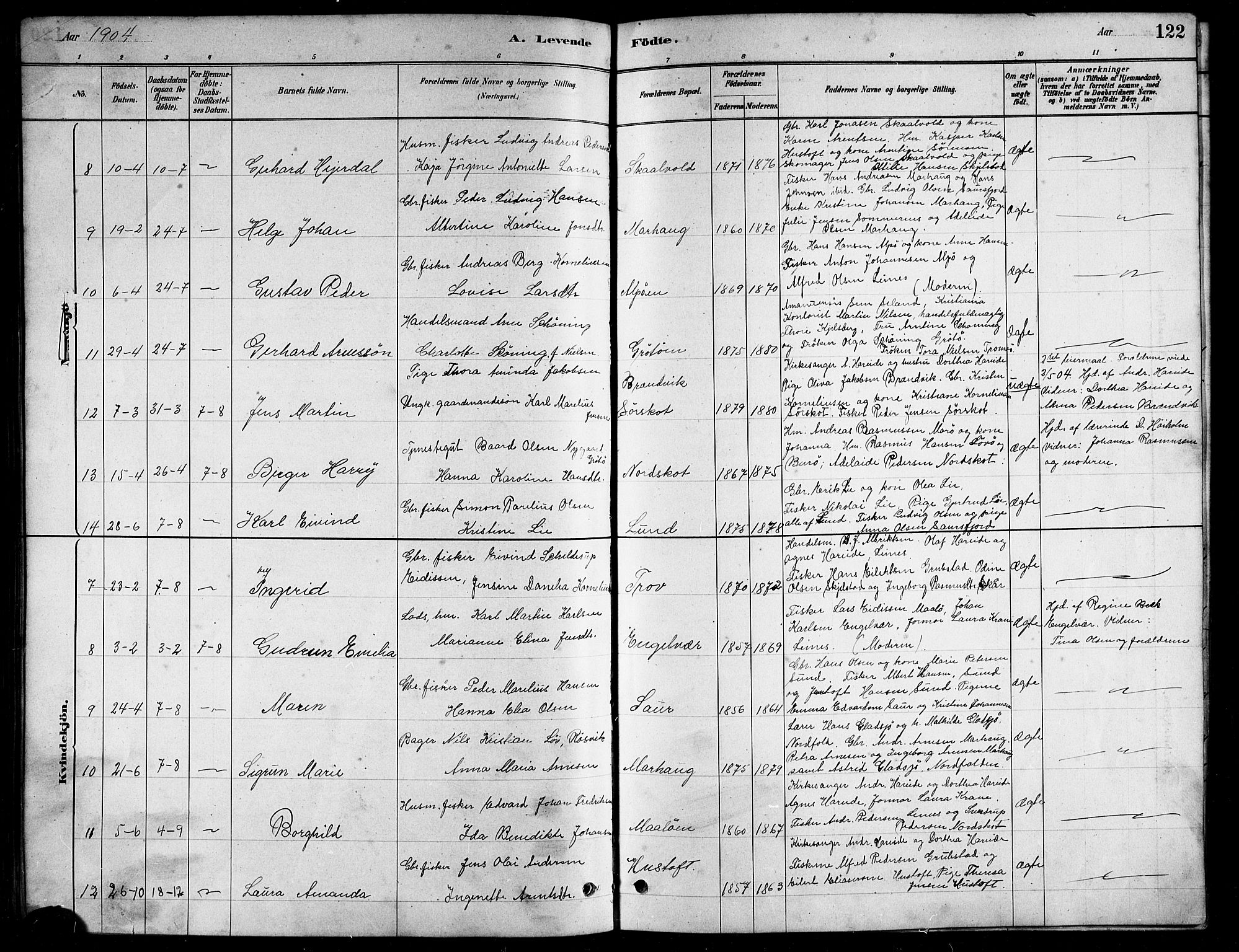 Ministerialprotokoller, klokkerbøker og fødselsregistre - Nordland, AV/SAT-A-1459/857/L0828: Klokkerbok nr. 857C03, 1879-1908, s. 122
