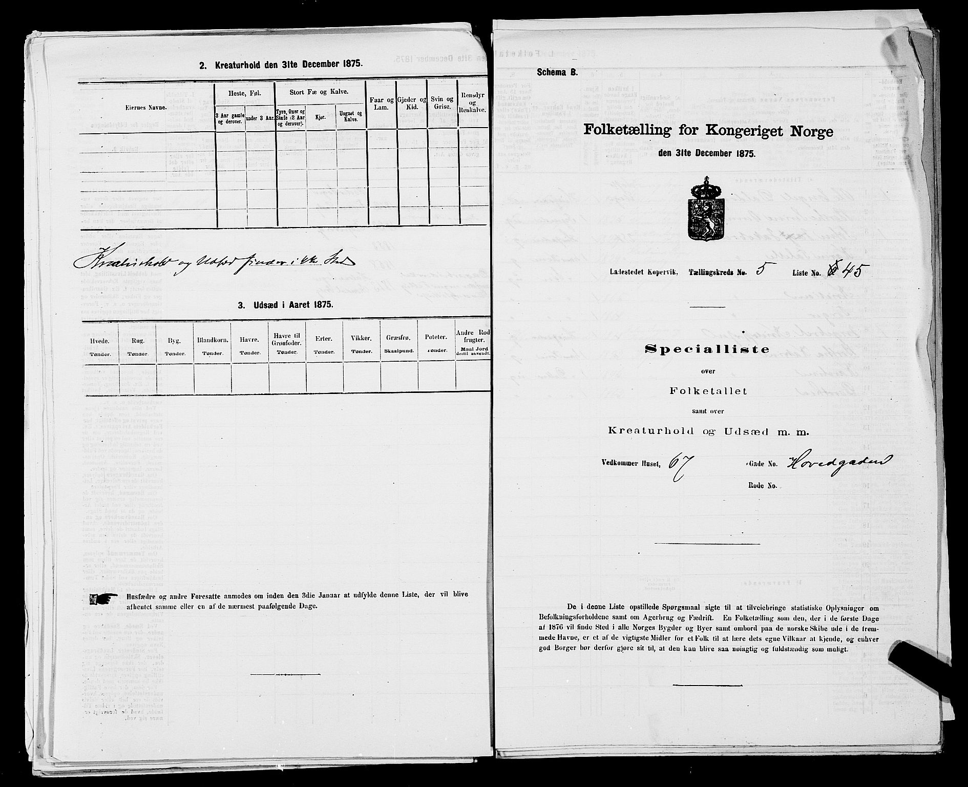 SAST, Folketelling 1875 for 1105B Avaldsnes prestegjeld, Kopervik ladested, 1875, s. 88