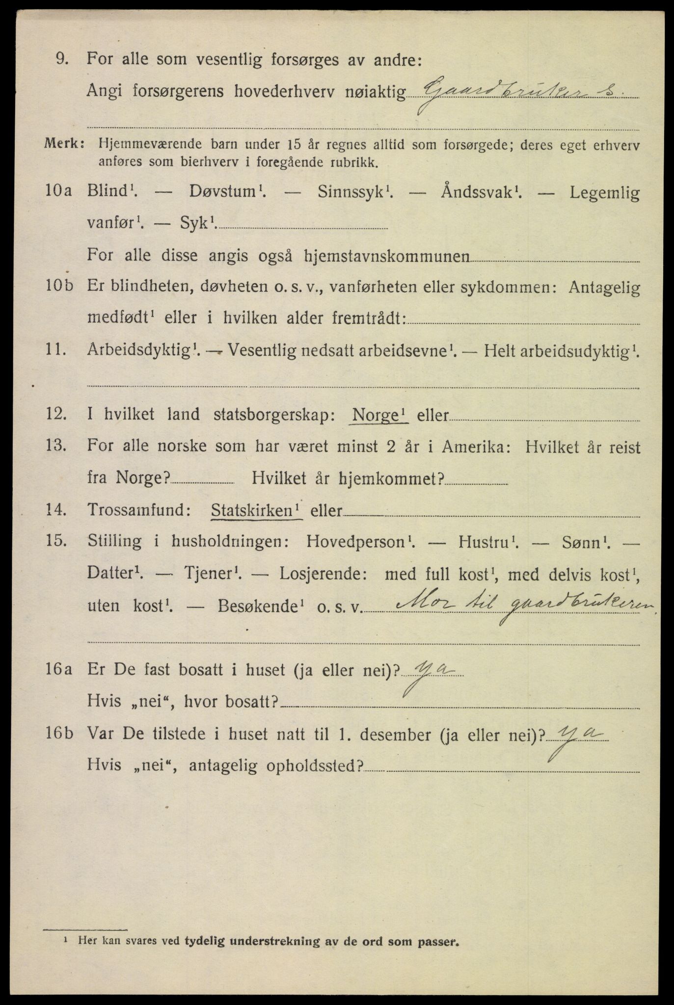 SAH, Folketelling 1920 for 0514 Lom herred, 1920, s. 987