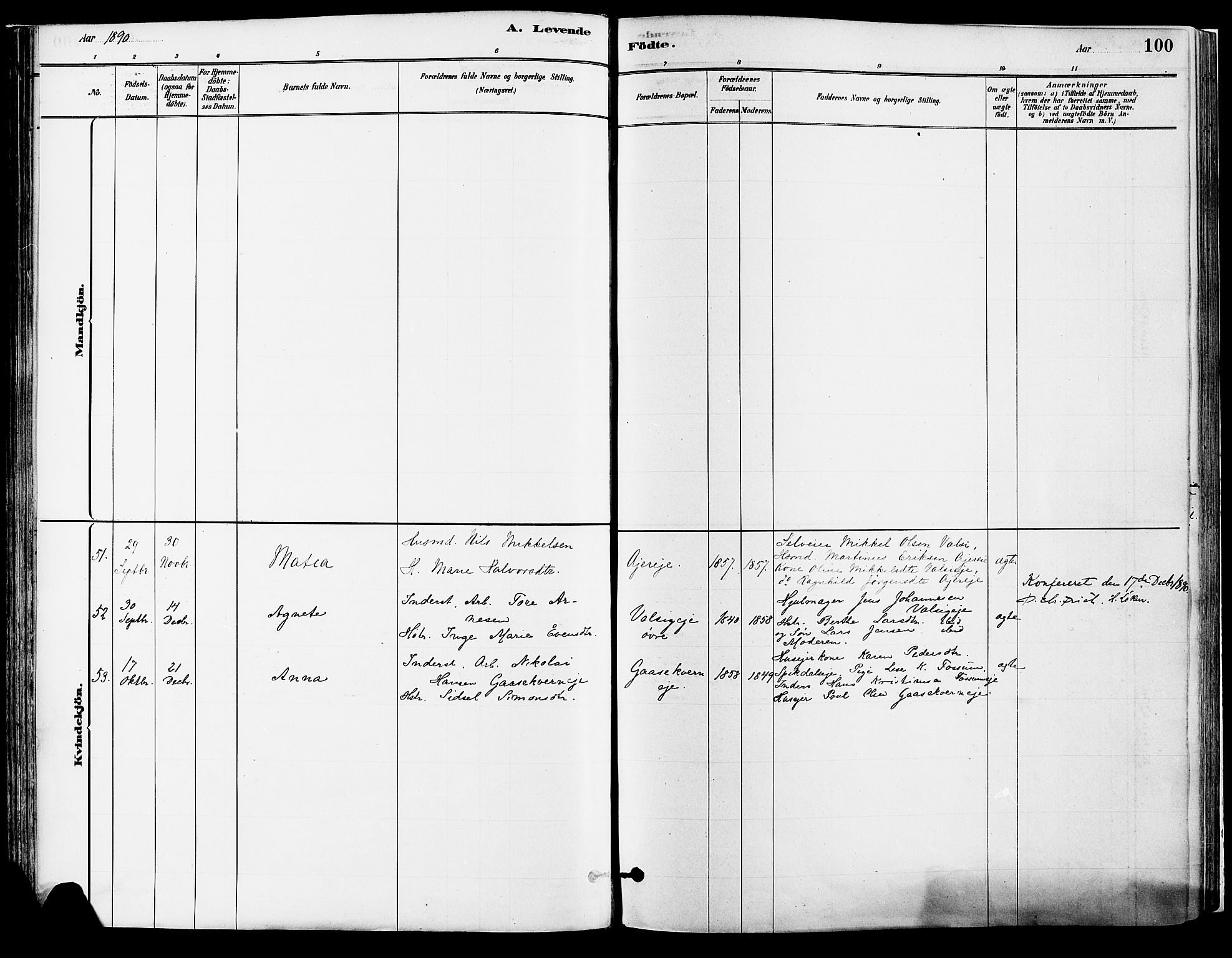 Vang prestekontor, Hedmark, SAH/PREST-008/H/Ha/Haa/L0018A: Ministerialbok nr. 18A, 1880-1906, s. 100