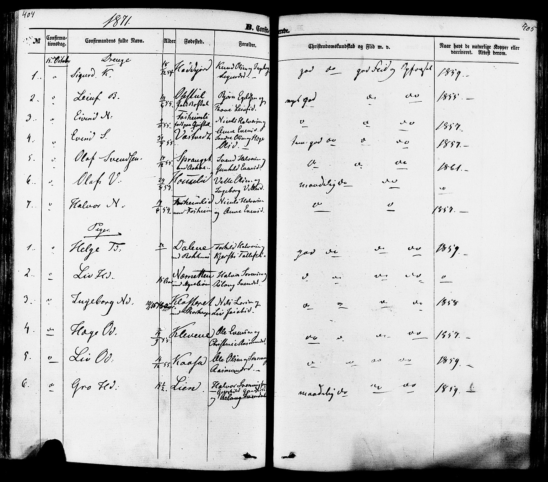 Seljord kirkebøker, AV/SAKO-A-20/F/Fa/L0013: Ministerialbok nr. I 13, 1866-1876, s. 404-405