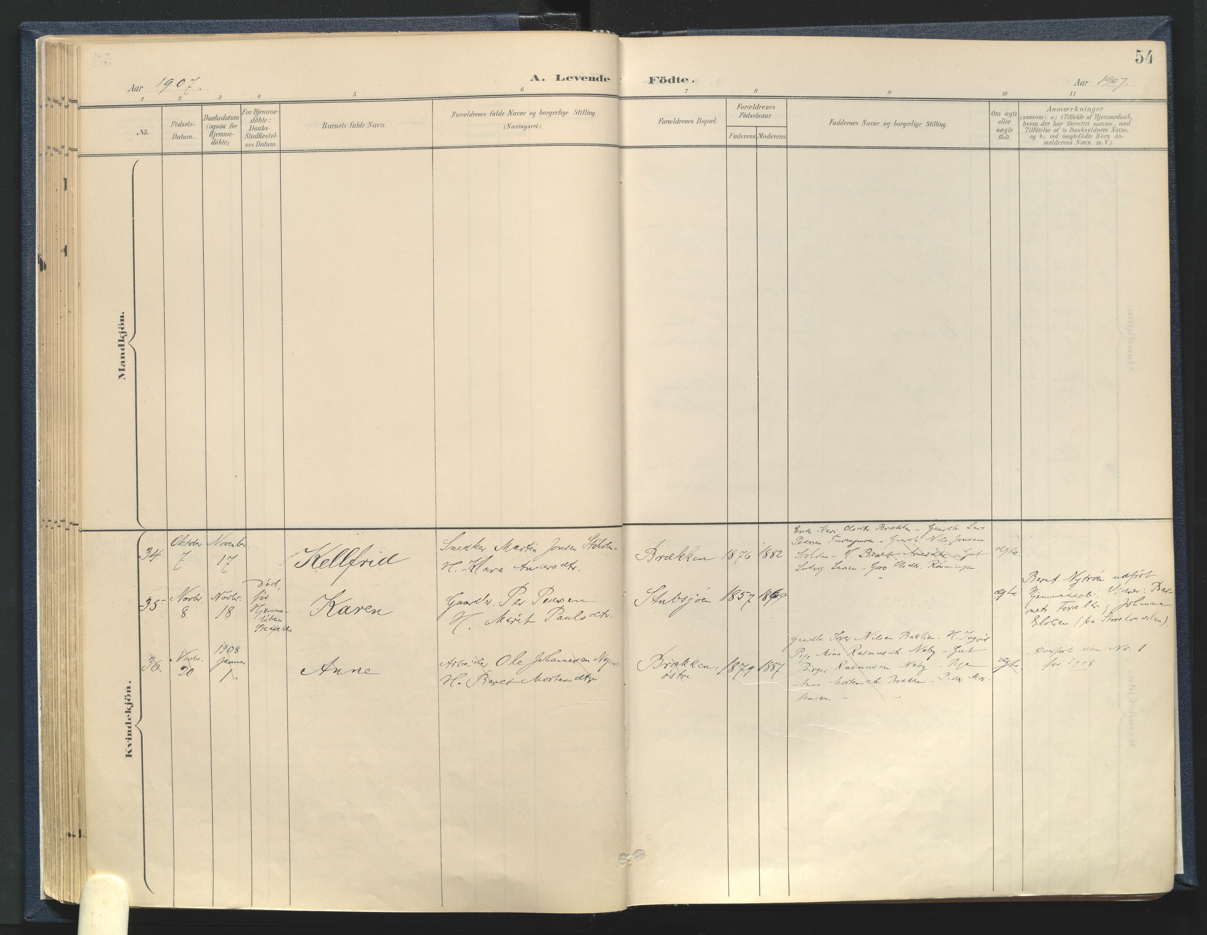 Tynset prestekontor, SAH/PREST-058/H/Ha/Haa/L0025: Ministerialbok nr. 25, 1900-1914, s. 54