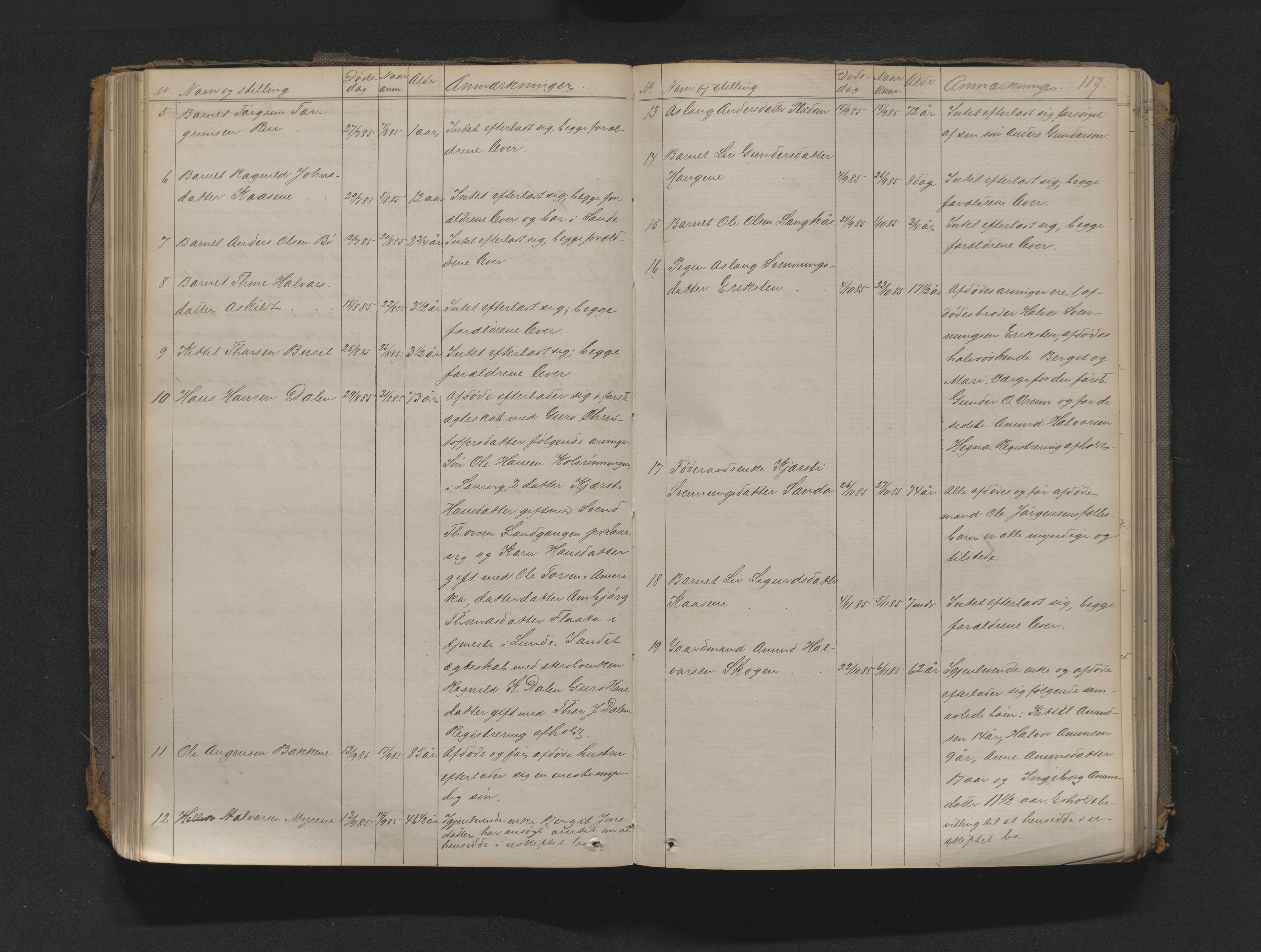 Nedre Telemark sorenskriveri, AV/SAKO-A-135/H/Ha/Haa/L0001: Dødsanmeldeldelsesprotokoll, 1867-1901, s. 116b-117a