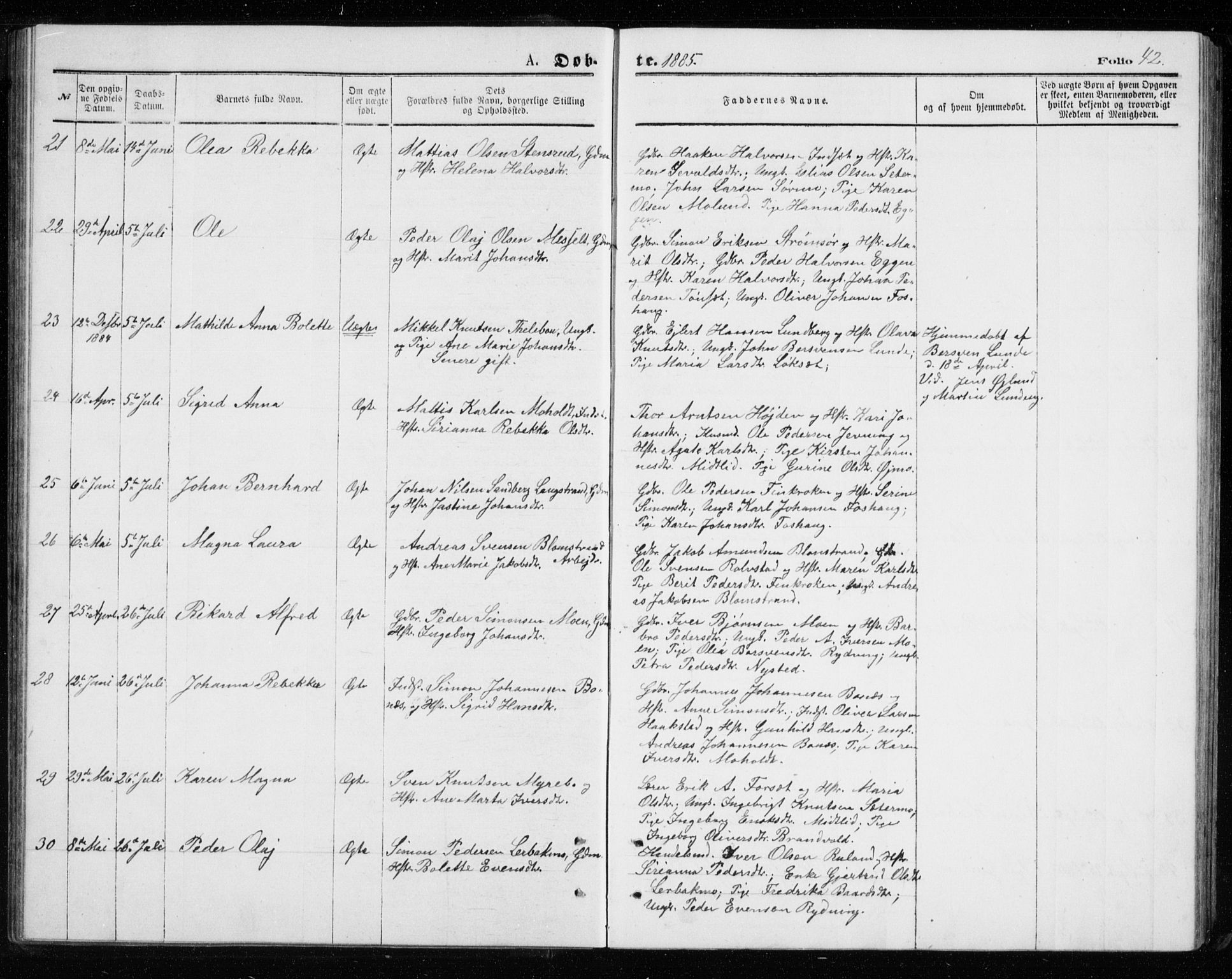 Målselv sokneprestembete, AV/SATØ-S-1311/G/Ga/Gab/L0007klokker: Klokkerbok nr. 7, 1876-1895, s. 42