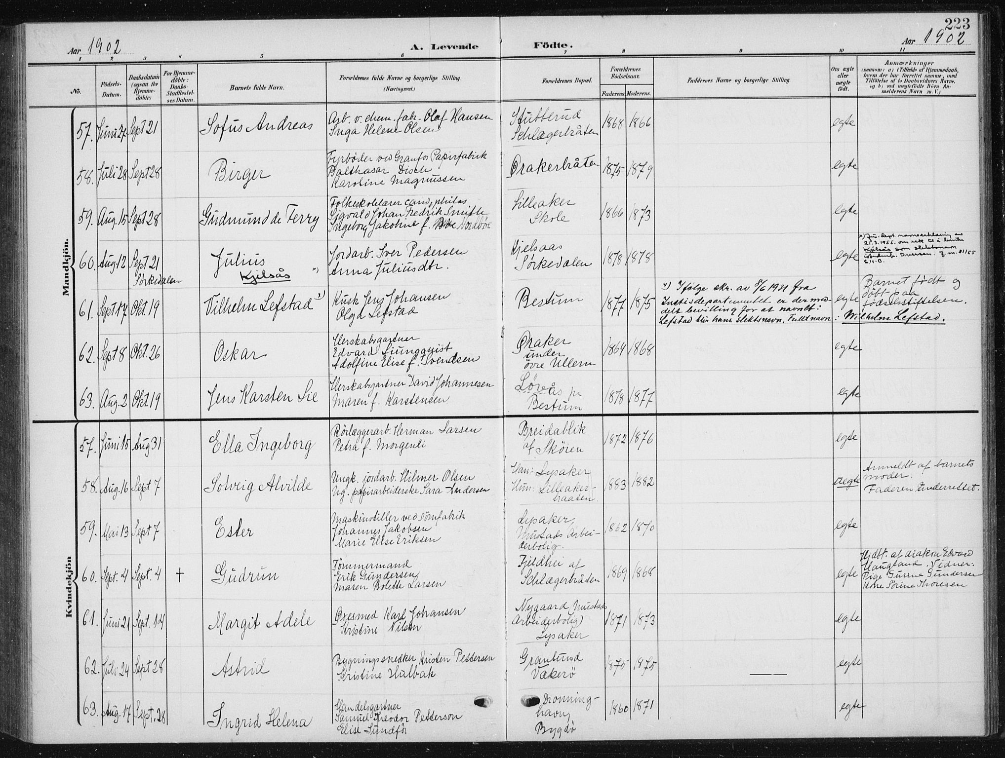 Vestre Aker prestekontor Kirkebøker, AV/SAO-A-10025/F/Fb/L0001: Ministerialbok nr. II 1, 1880-1906, s. 223