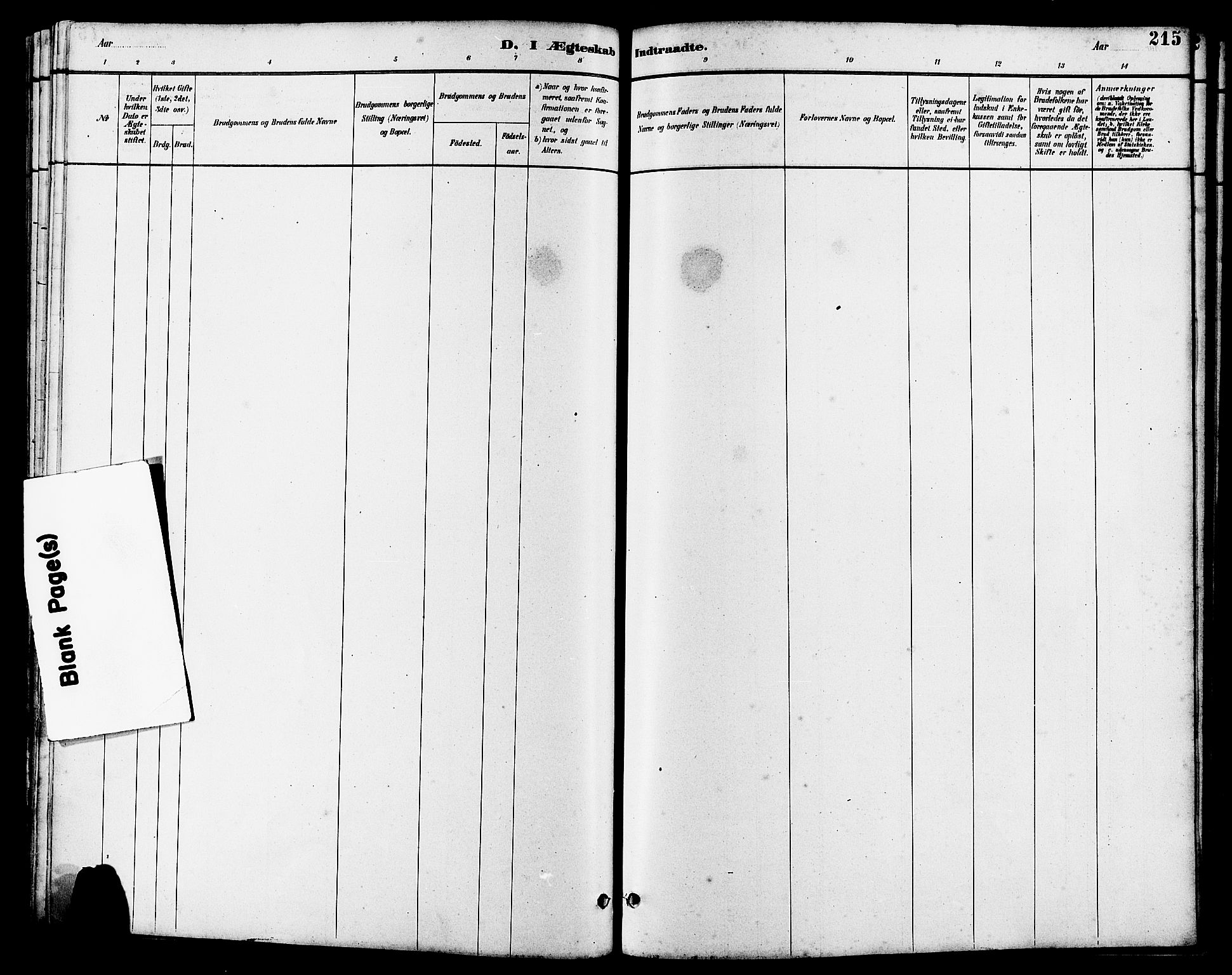 Hetland sokneprestkontor, AV/SAST-A-101826/30/30BB/L0006: Klokkerbok nr. B 6, 1878-1921, s. 215