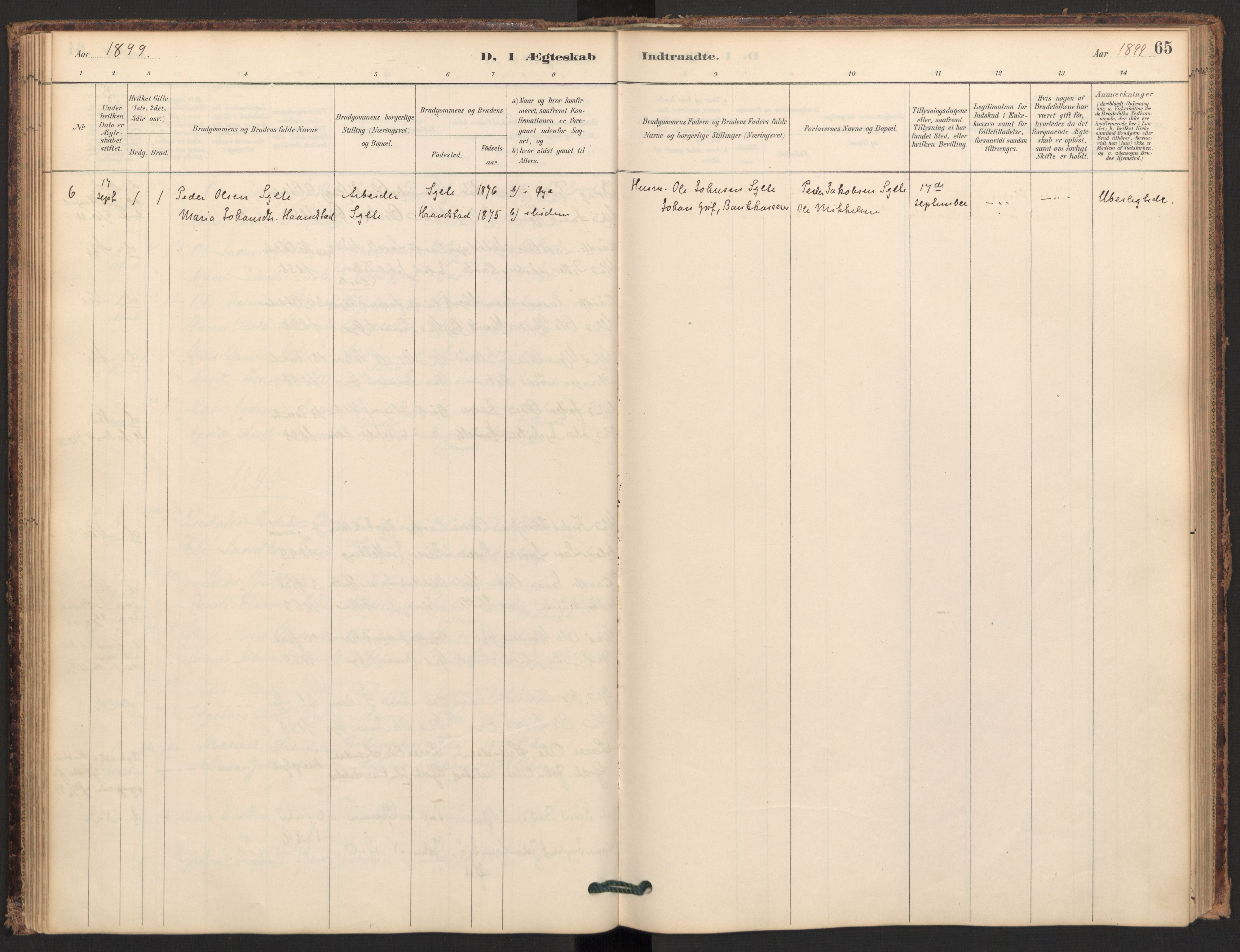 Ministerialprotokoller, klokkerbøker og fødselsregistre - Møre og Romsdal, AV/SAT-A-1454/595/L1047: Ministerialbok nr. 595A09, 1885-1900, s. 65