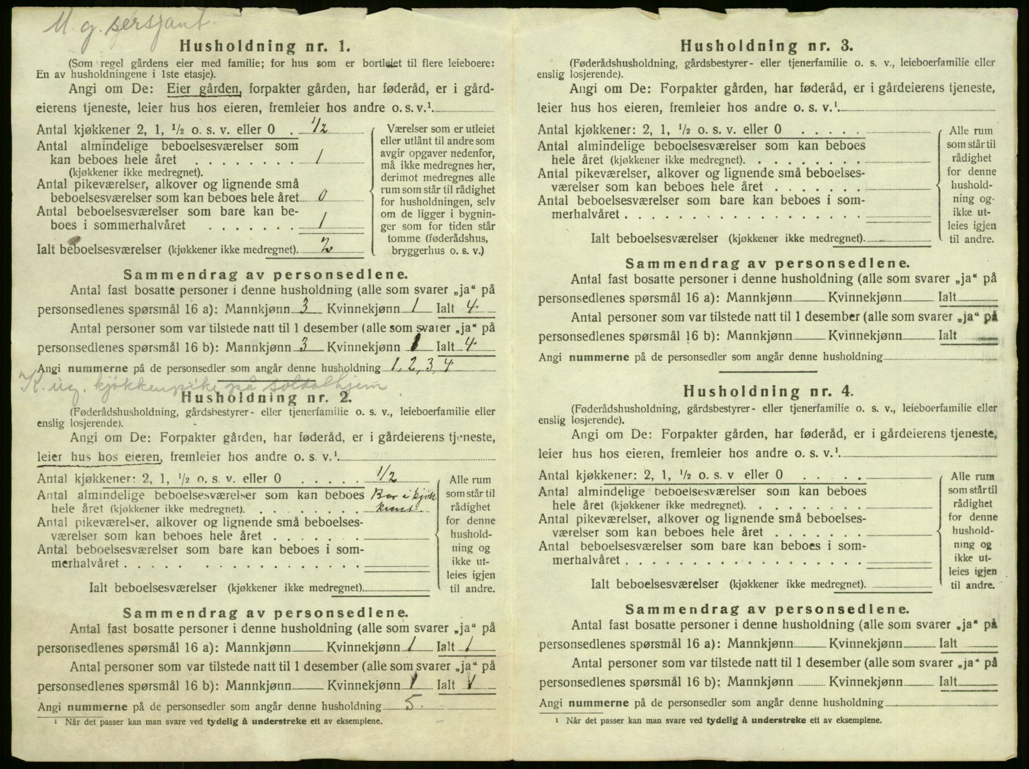 SAKO, Folketelling 1920 for 0612 Hole herred, 1920, s. 30