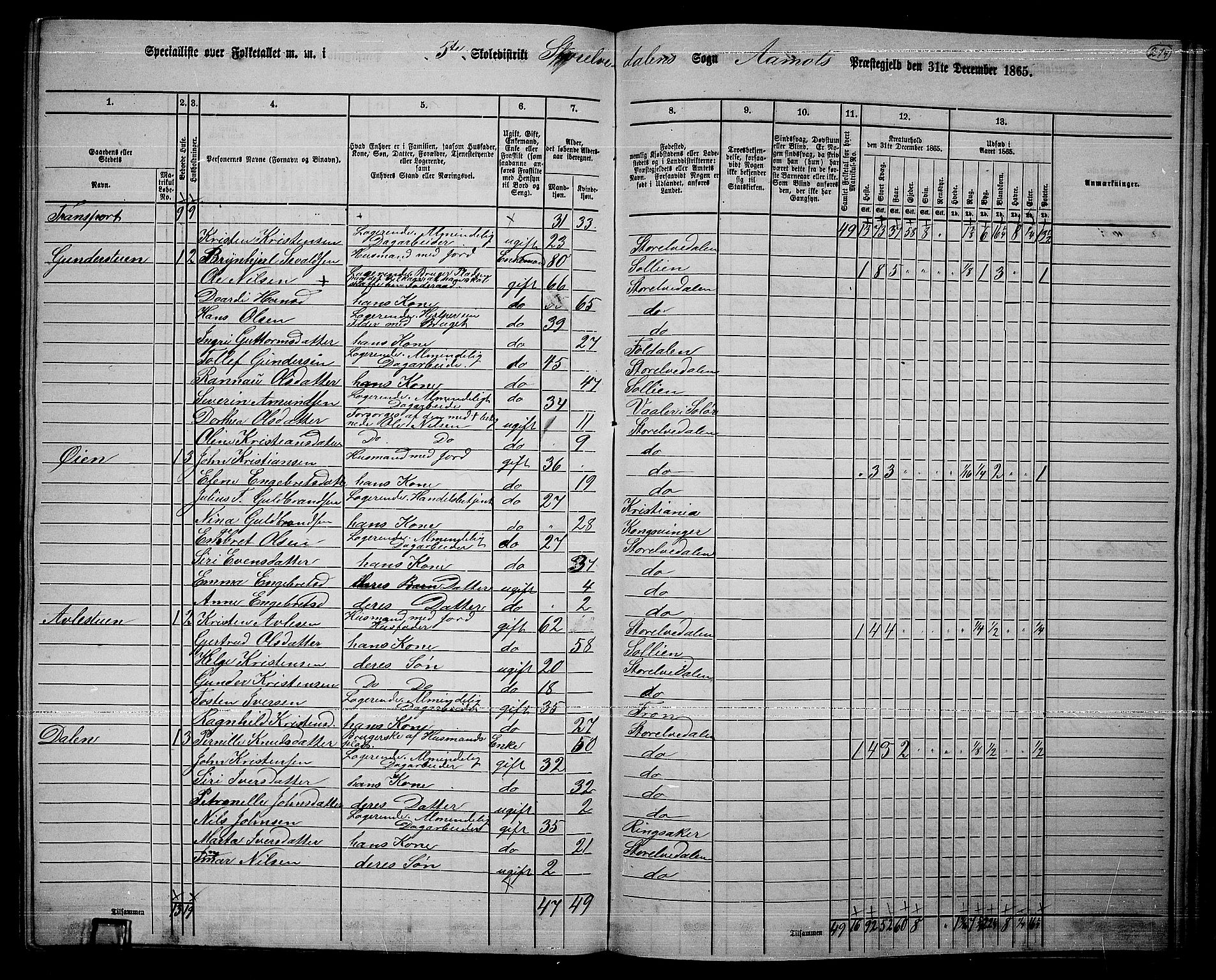 RA, Folketelling 1865 for 0429P Åmot prestegjeld, 1865, s. 189