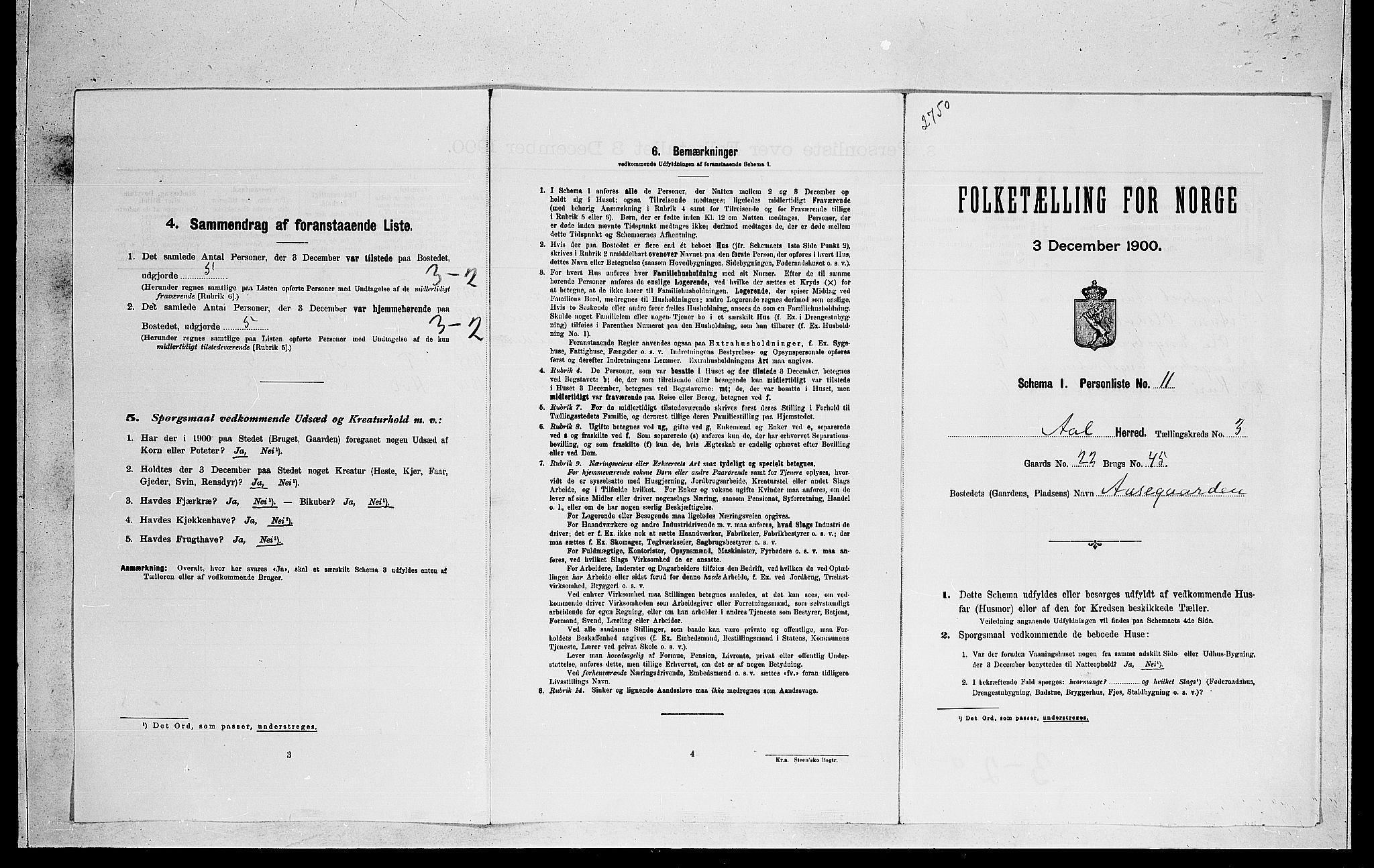 RA, Folketelling 1900 for 0619 Ål herred, 1900, s. 307