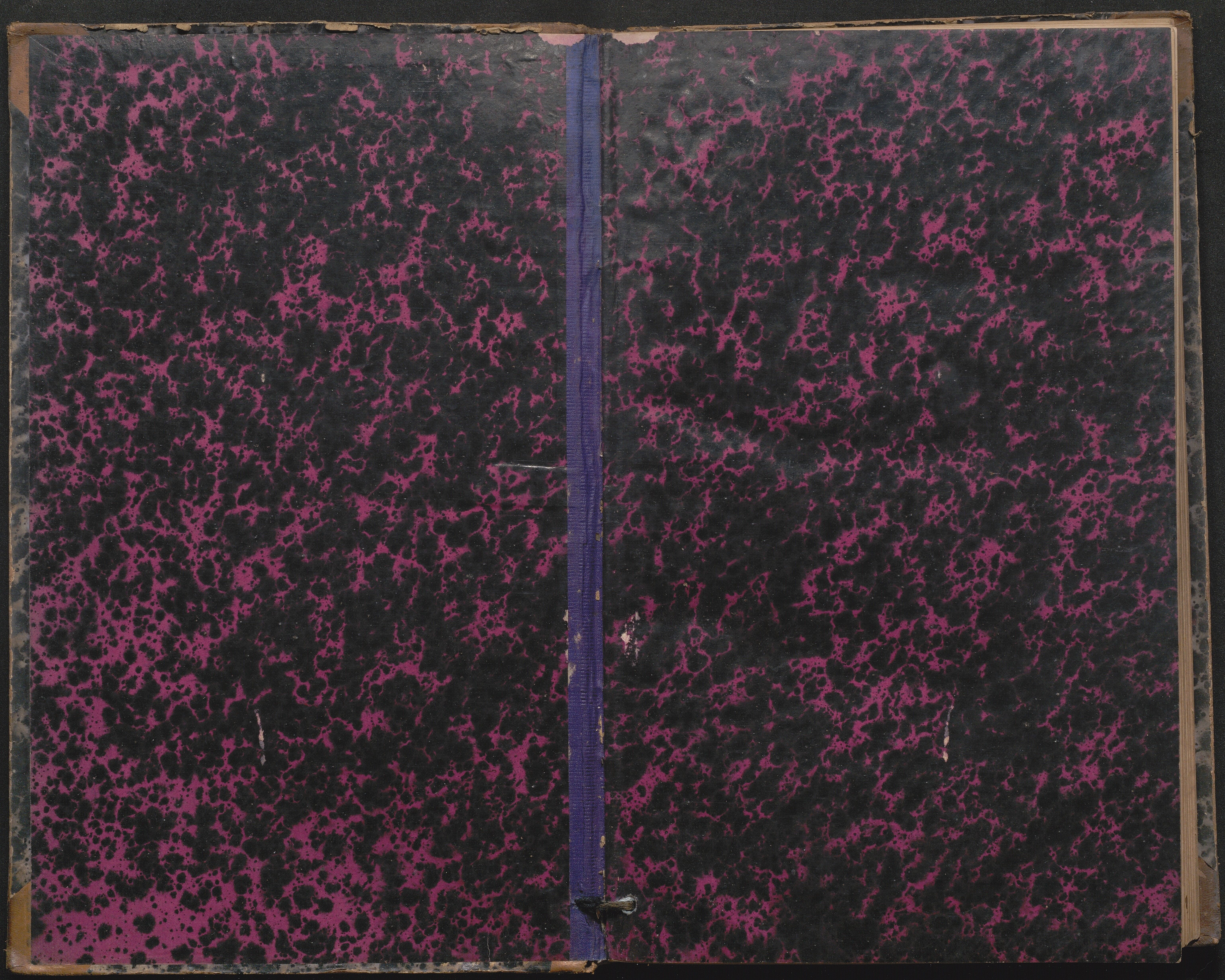 Gjerstad Kommune, Sandåker Skole, AAMA/KA0911-550d/F01/L0001: Dagbok Sandåker-Eikeland-Mælaas, 1876-1891