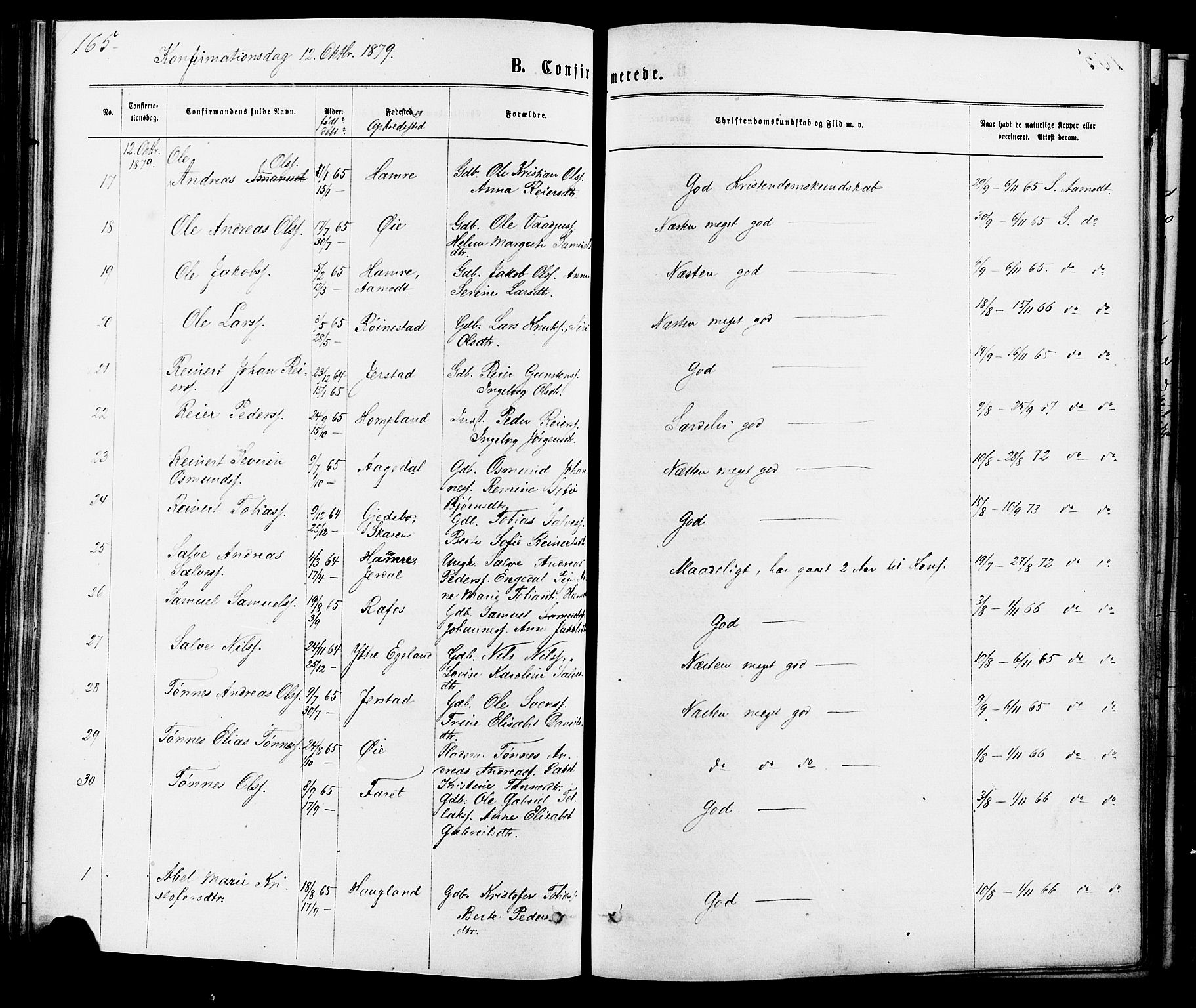 Kvinesdal sokneprestkontor, AV/SAK-1111-0026/F/Fa/Fab/L0007: Ministerialbok nr. A 7, 1870-1885, s. 165