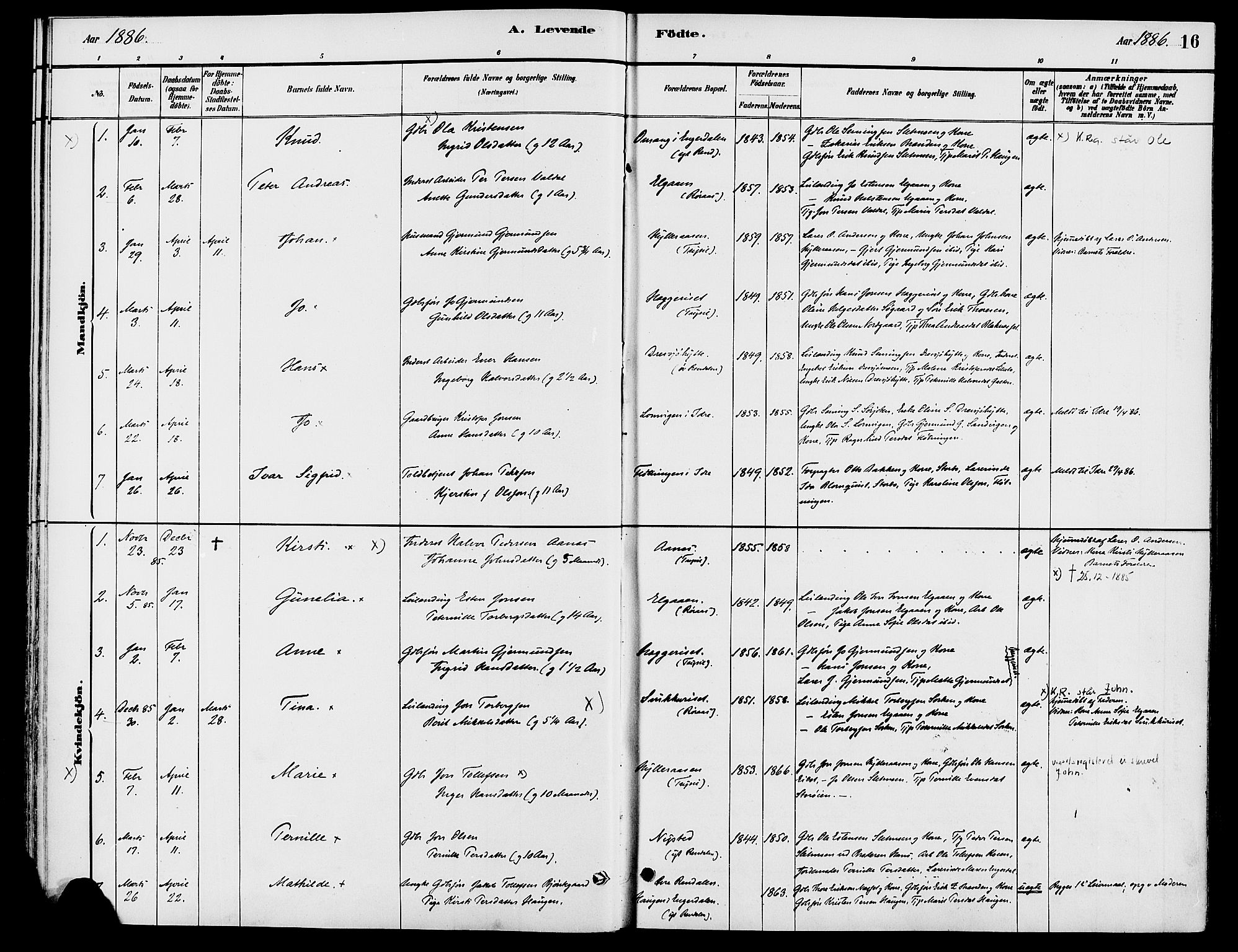 Engerdal prestekontor, SAH/PREST-048/H/Ha/Haa/L0001: Ministerialbok nr. 1, 1881-1898, s. 16