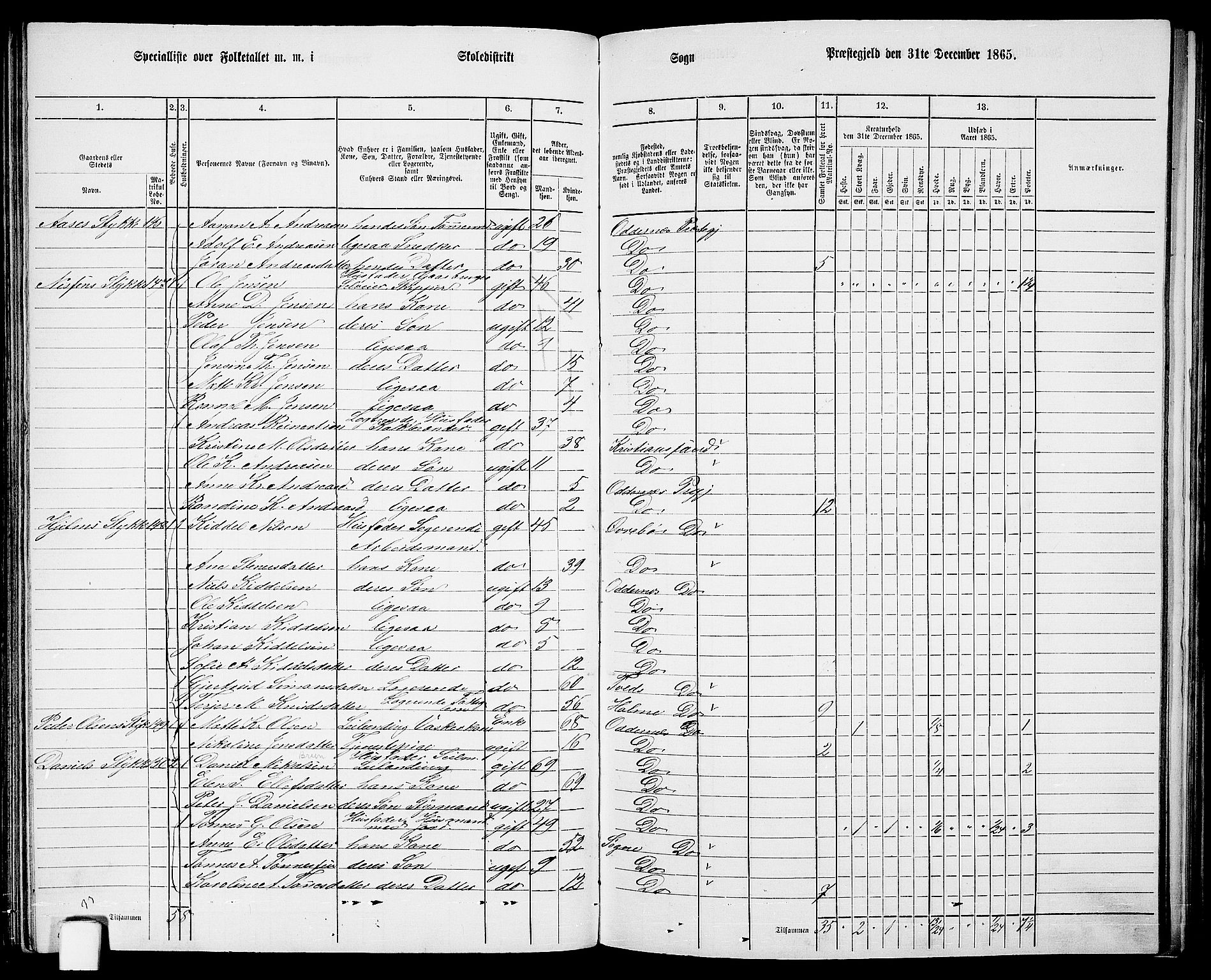 RA, Folketelling 1865 for 1012P Oddernes prestegjeld, 1865, s. 86