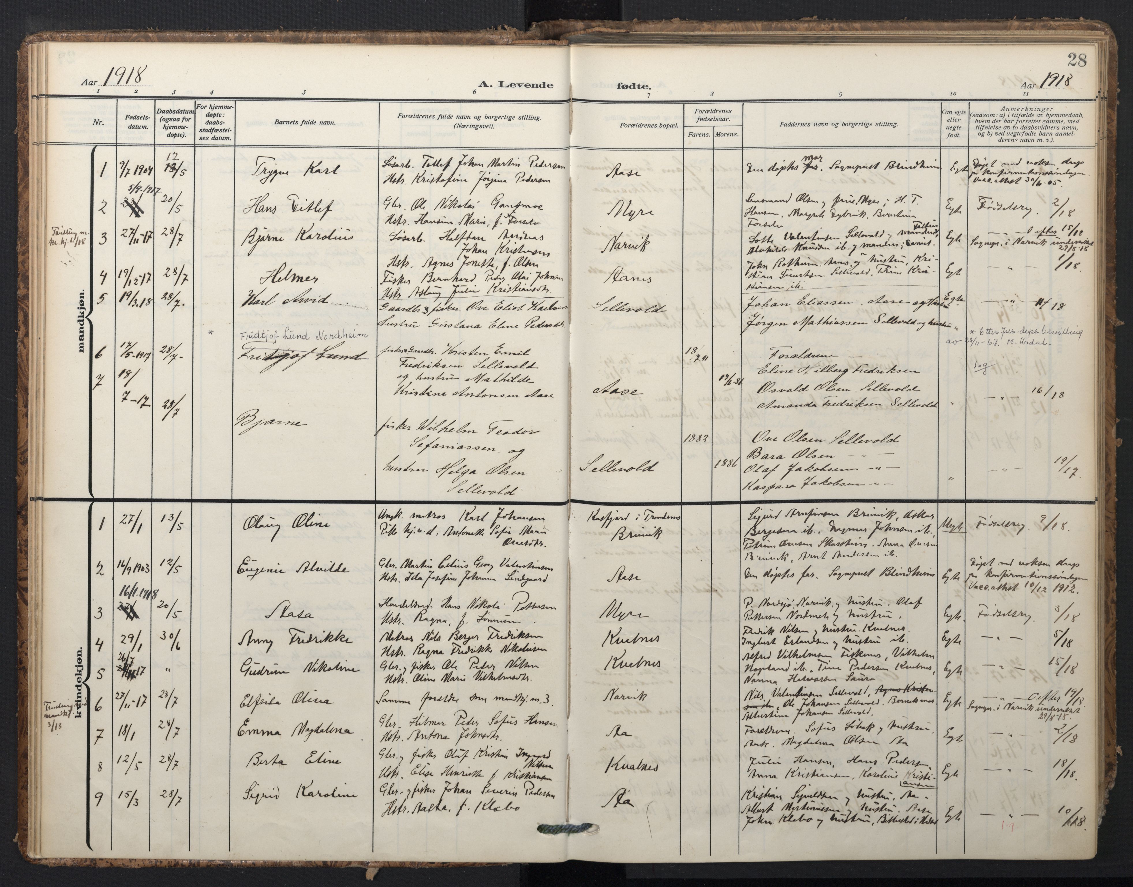Ministerialprotokoller, klokkerbøker og fødselsregistre - Nordland, AV/SAT-A-1459/897/L1401: Ministerialbok nr. 897A08, 1909-1921, s. 28