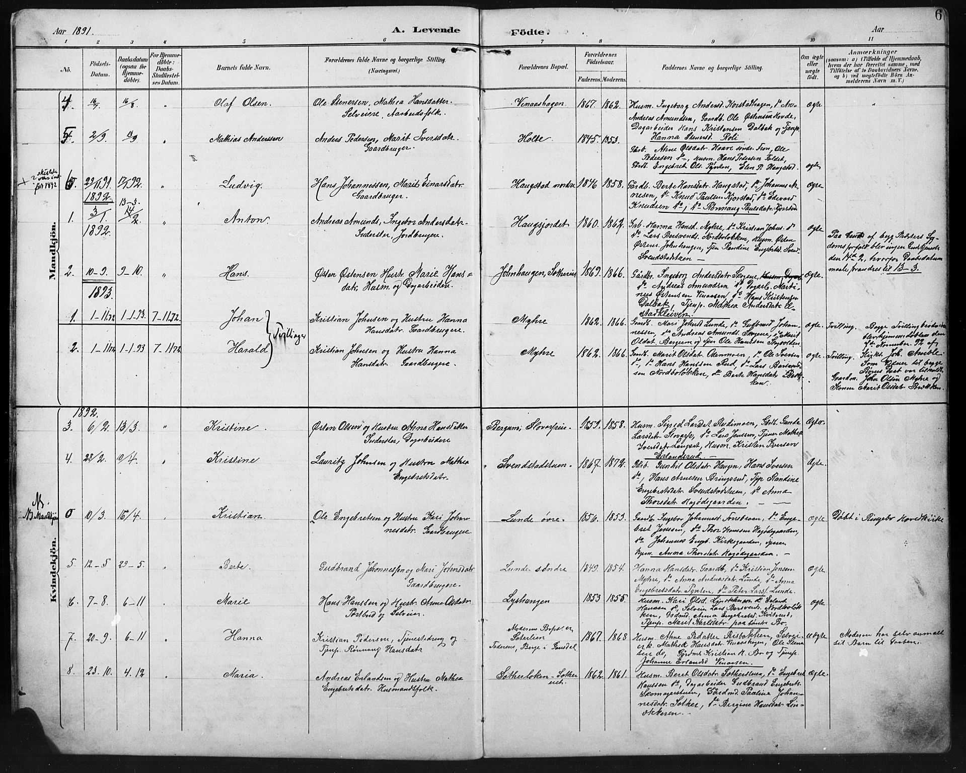 Ringebu prestekontor, AV/SAH-PREST-082/H/Ha/Hab/L0008: Klokkerbok nr. 8, 1890-1922, s. 6