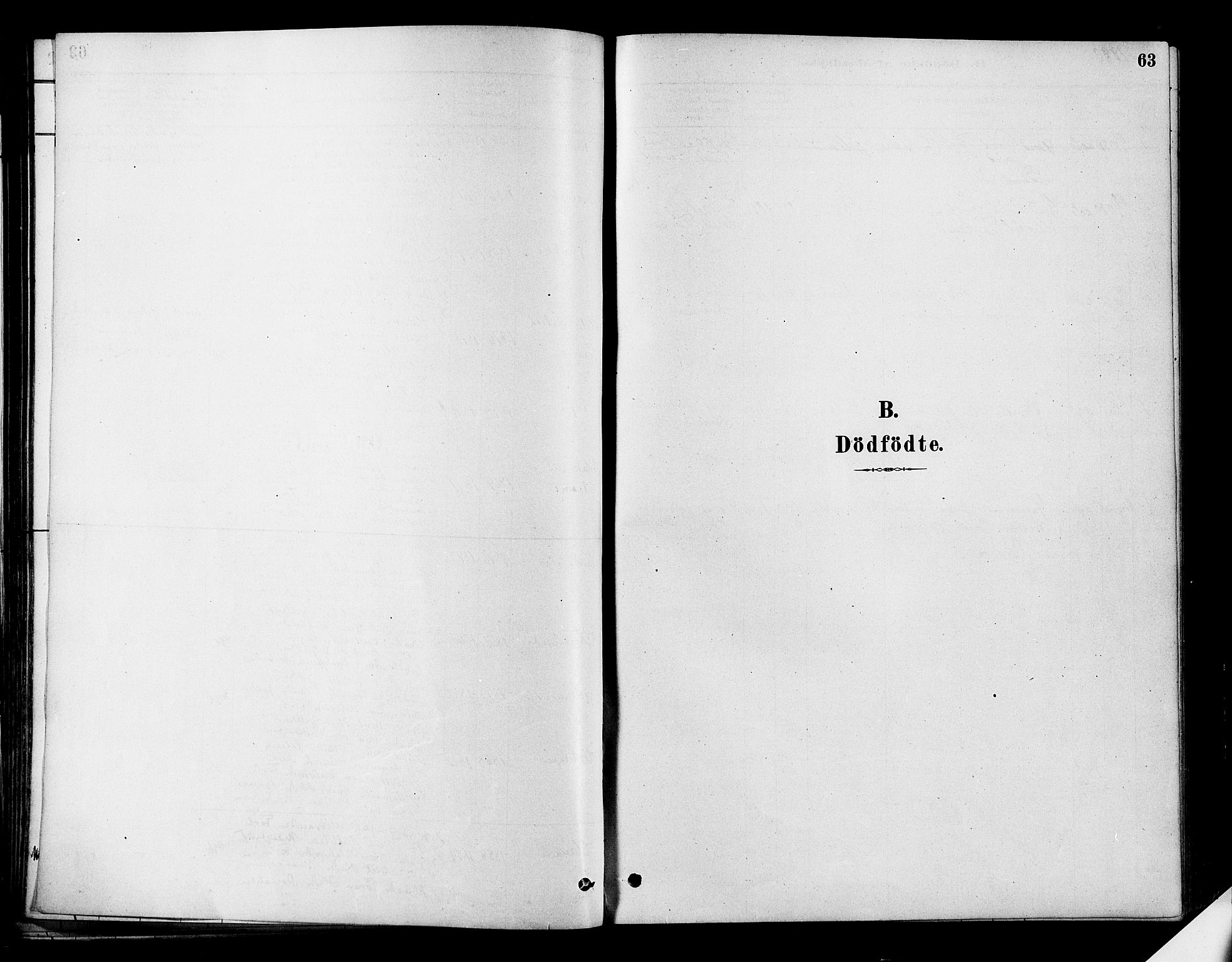 Flesberg kirkebøker, AV/SAKO-A-18/F/Fa/L0008: Ministerialbok nr. I 8, 1879-1899, s. 63