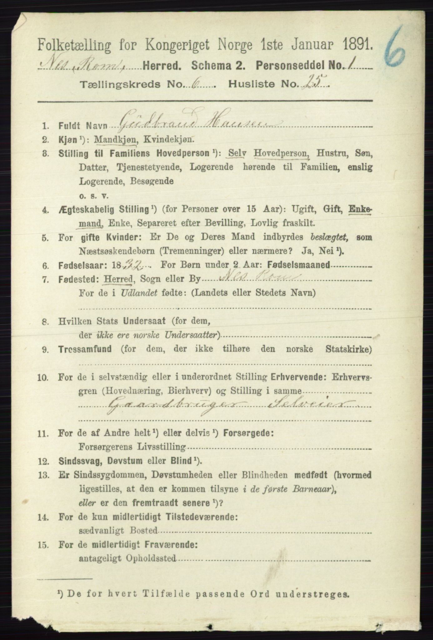 RA, Folketelling 1891 for 0236 Nes herred, 1891, s. 3530