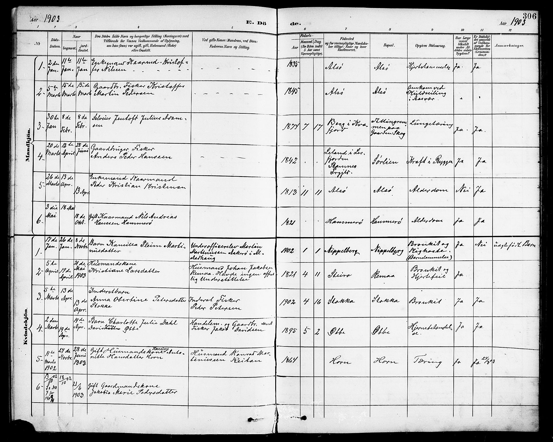 Ministerialprotokoller, klokkerbøker og fødselsregistre - Nordland, AV/SAT-A-1459/838/L0559: Klokkerbok nr. 838C06, 1893-1910, s. 306