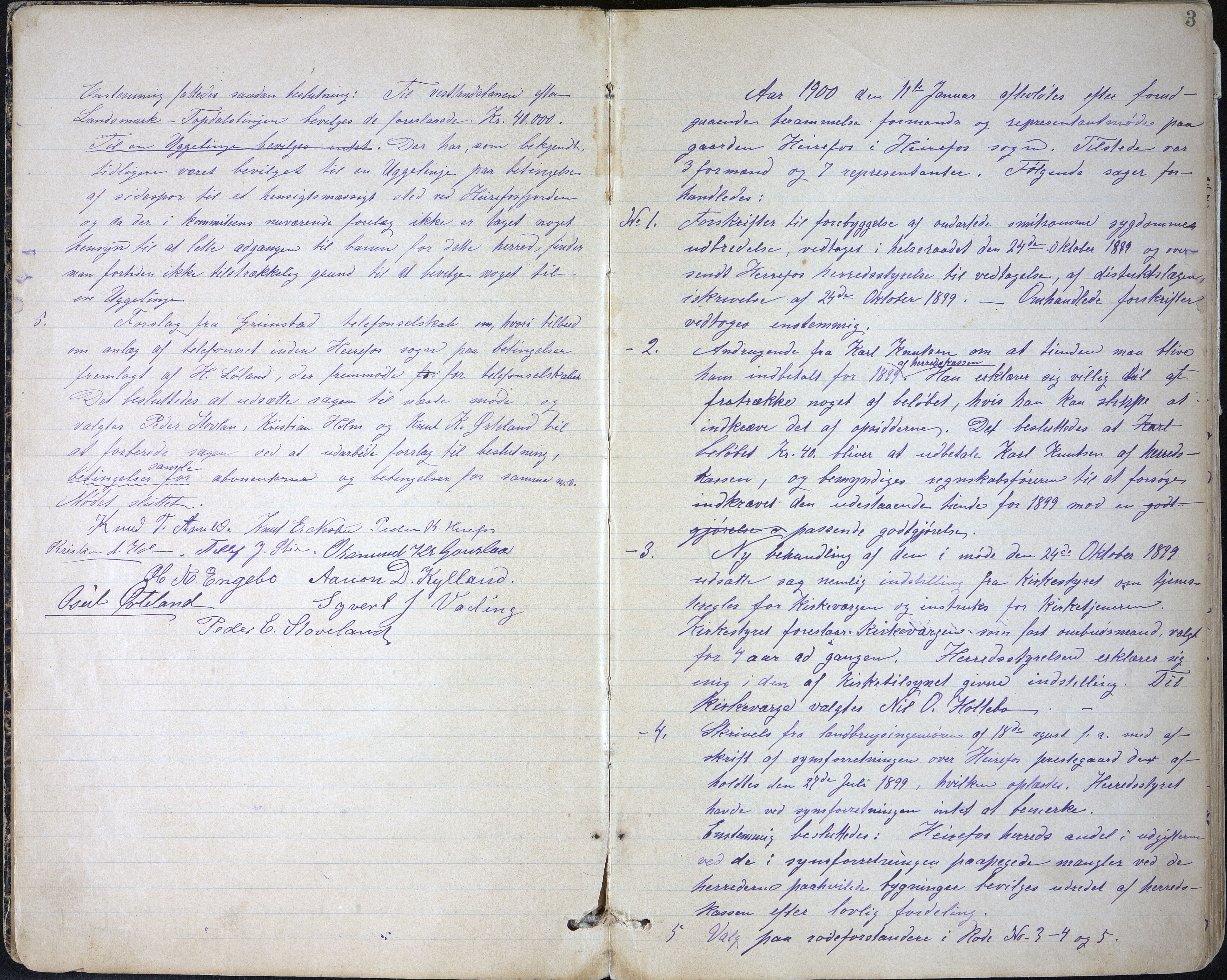Herefoss kommune, AAKS/KA0933-PK/01/01A/L0006: Møtebok. Herefoss heradsstyre., 1899-1911, s. 3