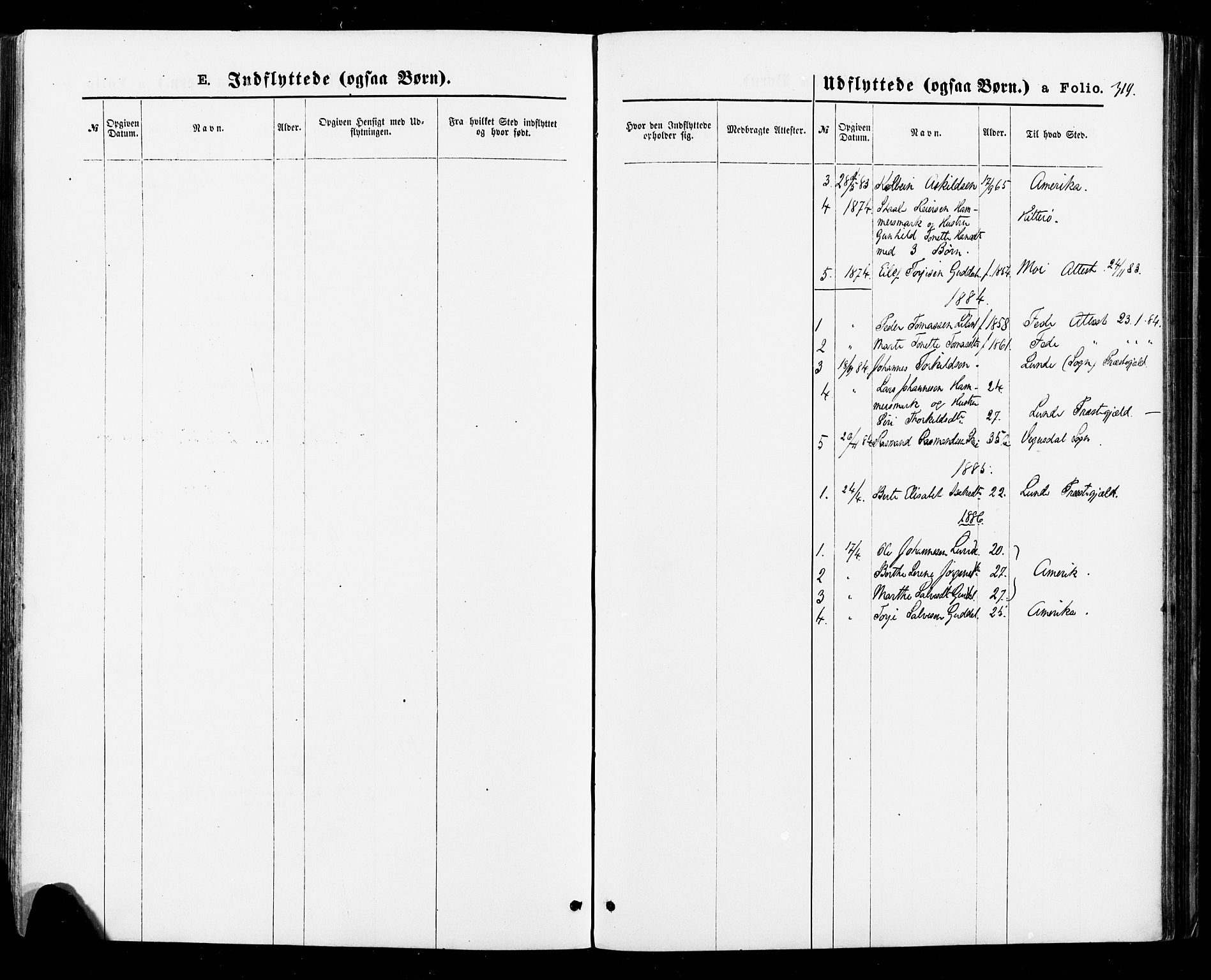 Sirdal sokneprestkontor, SAK/1111-0036/F/Fa/Fab/L0003: Ministerialbok nr. A 3, 1874-1886, s. 319