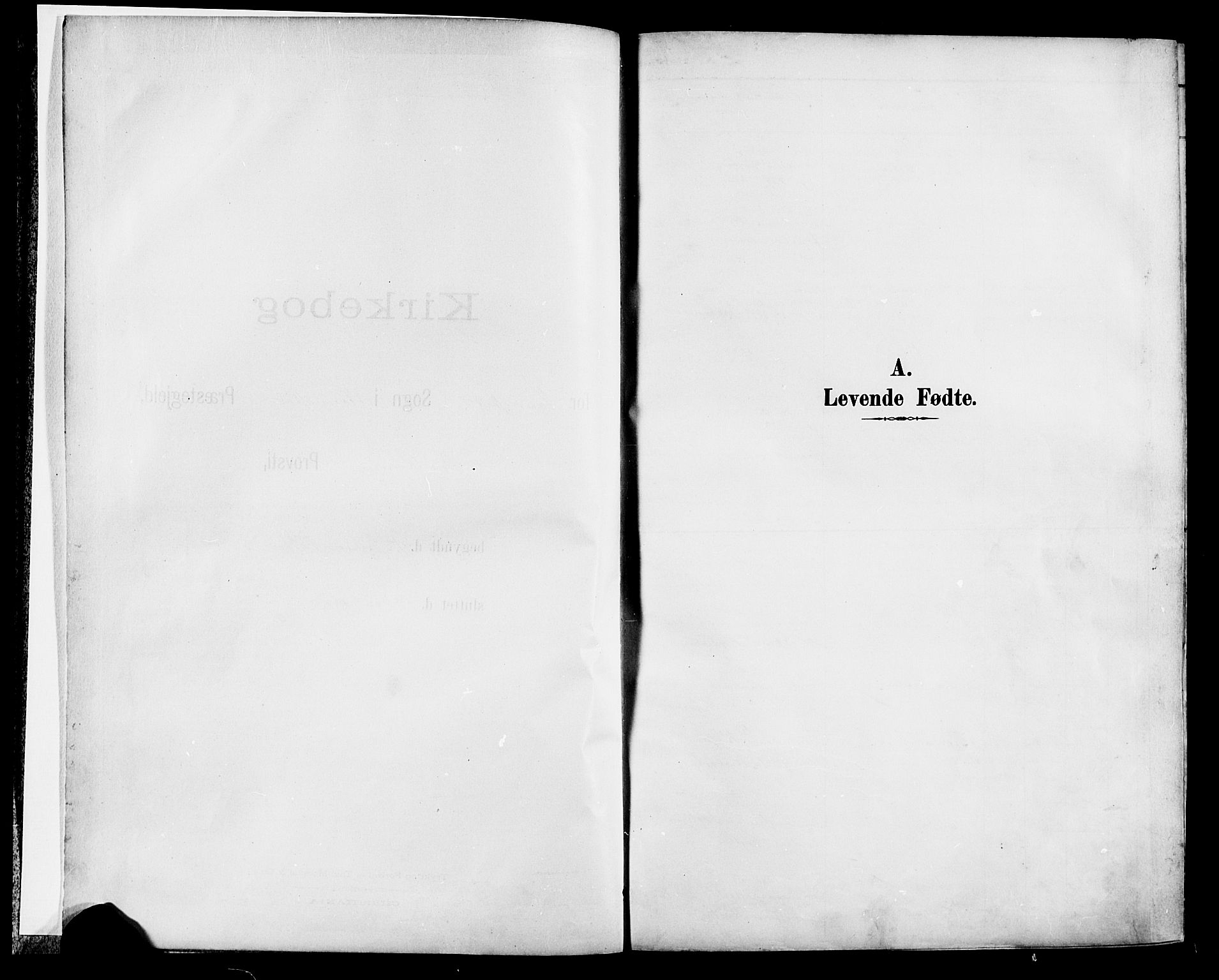 Nannestad prestekontor Kirkebøker, SAO/A-10414a/F/Fa/L0015: Ministerialbok nr. I 15, 1891-1905