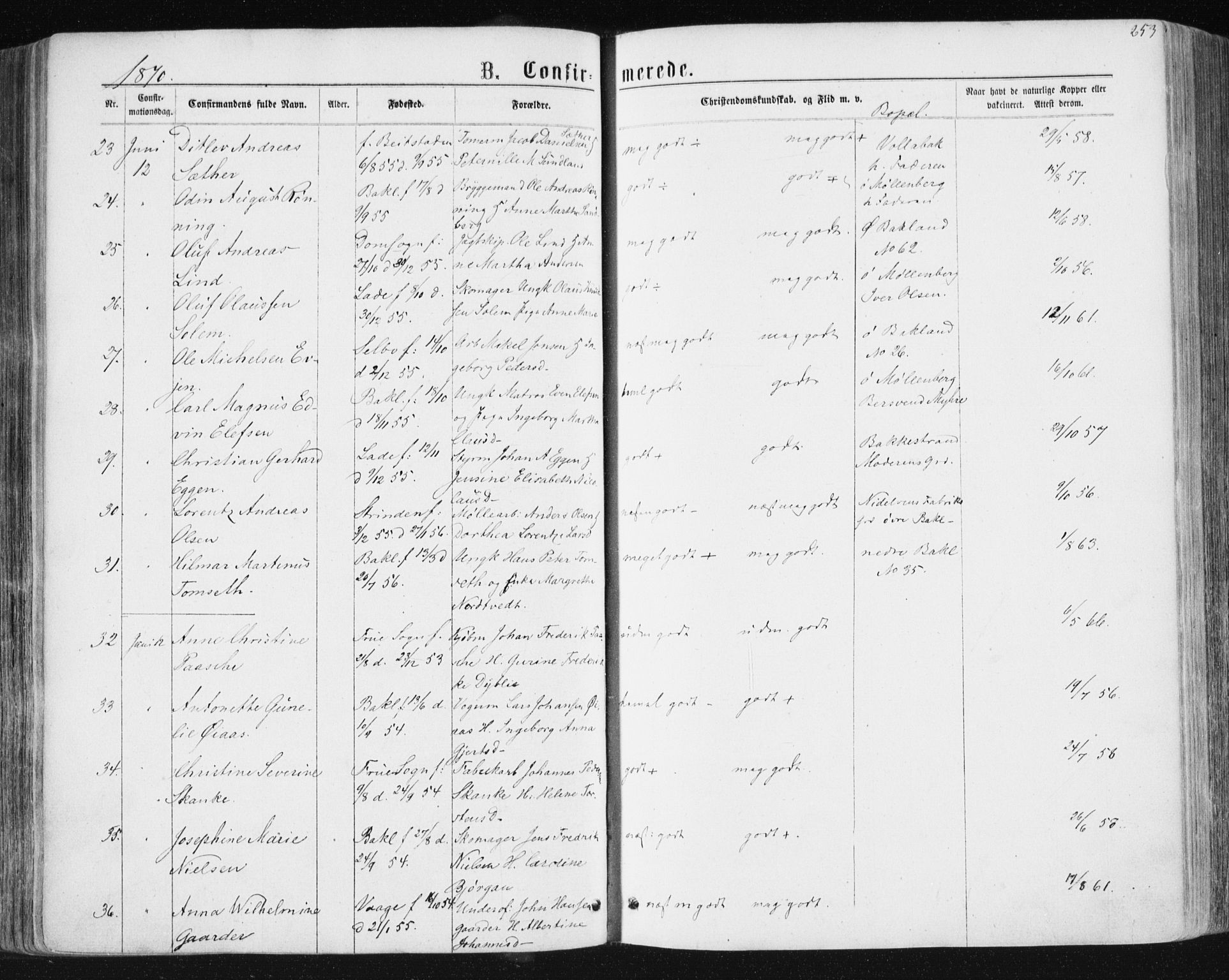 Ministerialprotokoller, klokkerbøker og fødselsregistre - Sør-Trøndelag, SAT/A-1456/604/L0186: Ministerialbok nr. 604A07, 1866-1877, s. 253