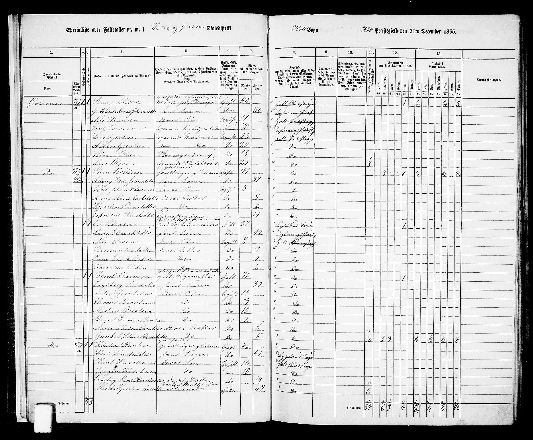 RA, Folketelling 1865 for 0914L Holt prestegjeld, Holt sokn, 1865, s. 16
